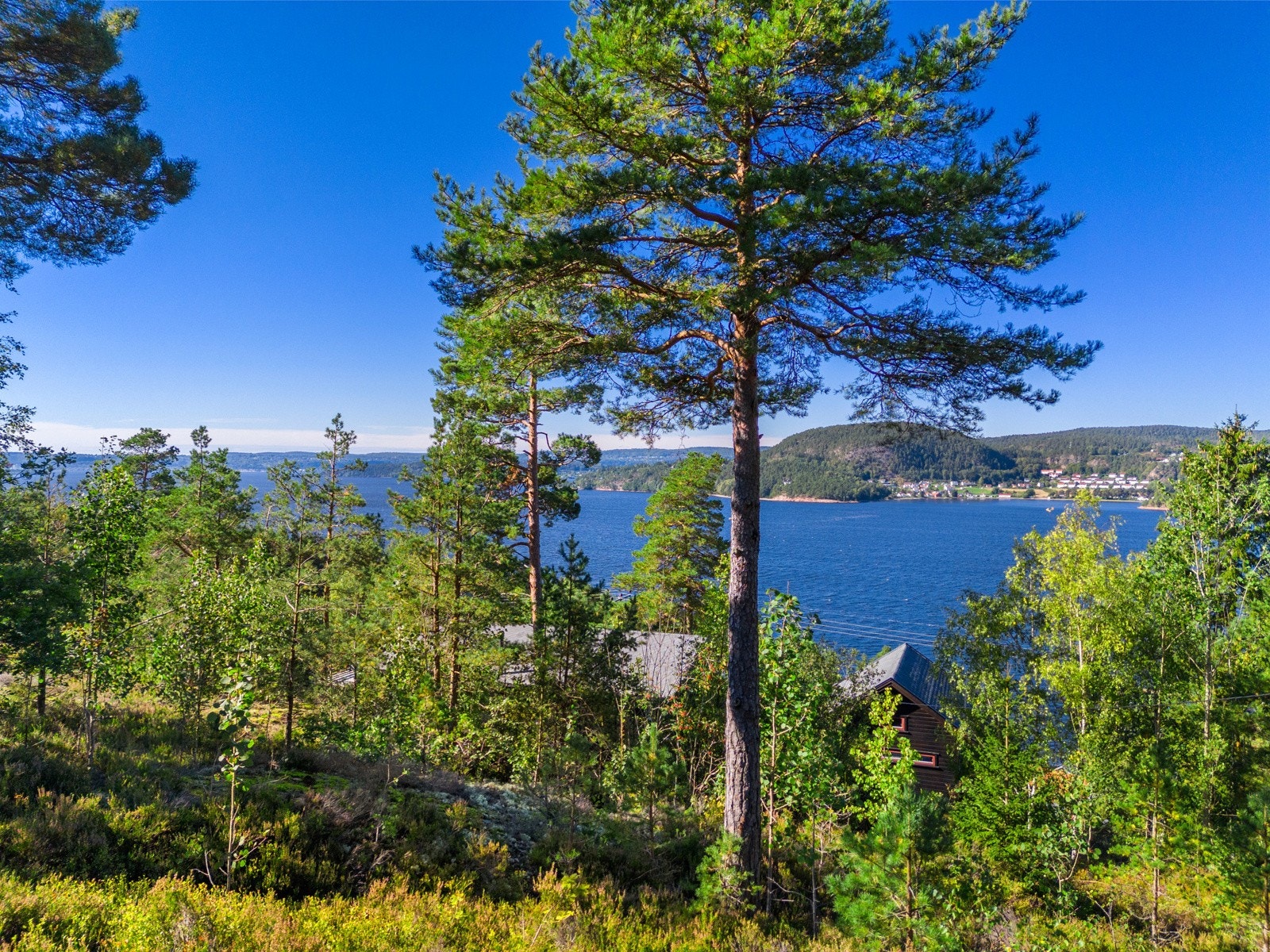 Tomten ligger med gode solforhold og fin utsikt ned mot Drammensfjorden! Galleribilde