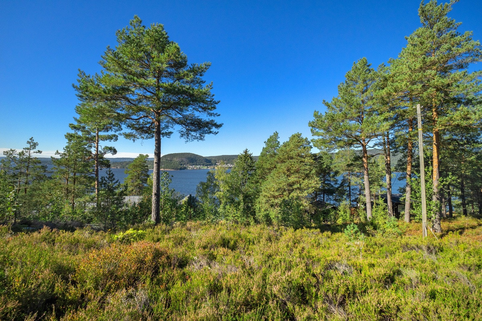 Tomten er lett skrånet og noe kupert, med fjell på enkelte områder. Galleribilde