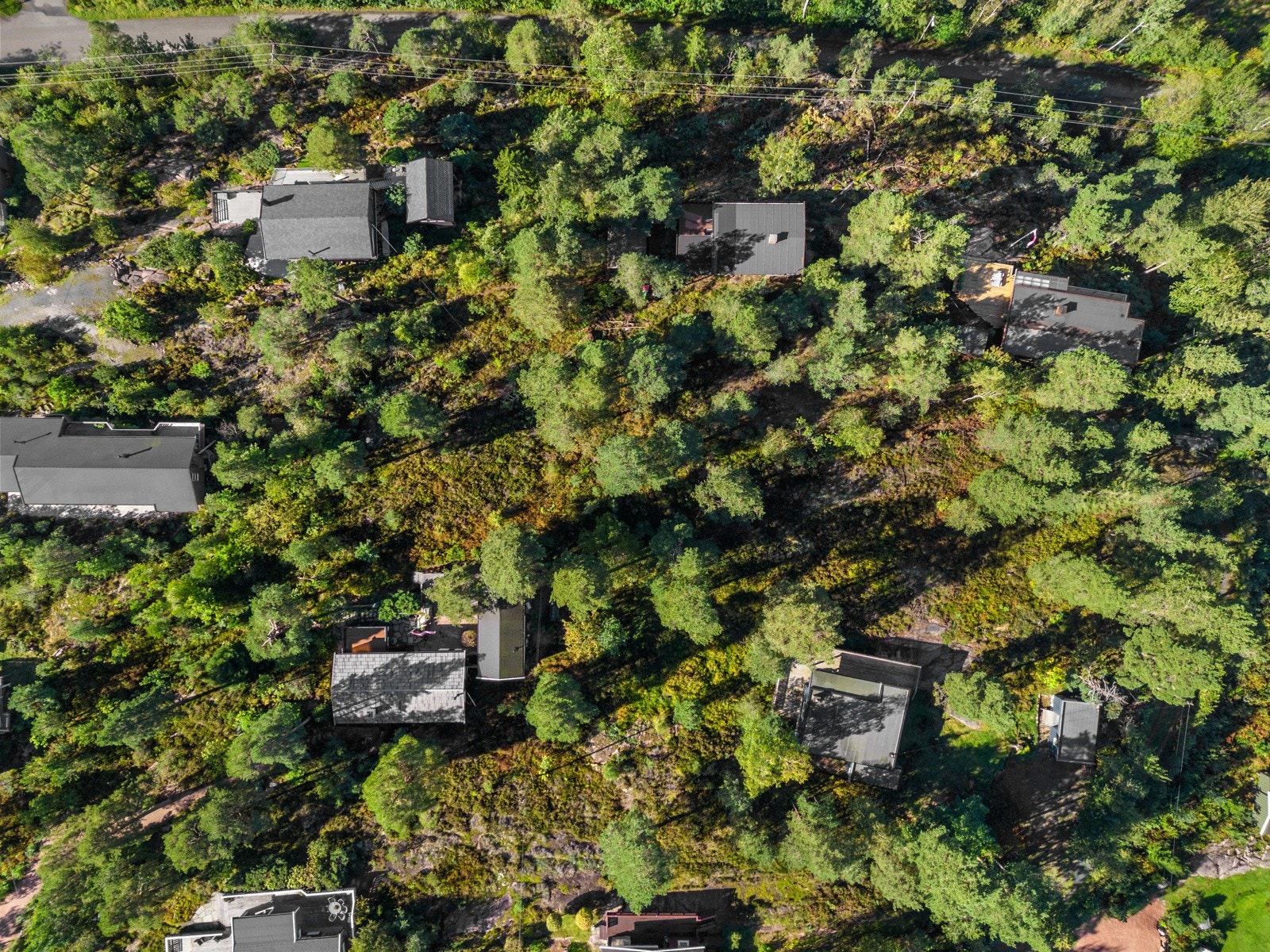 Stor selveid fritidstomt på 1718,8 kvm. Galleribilde