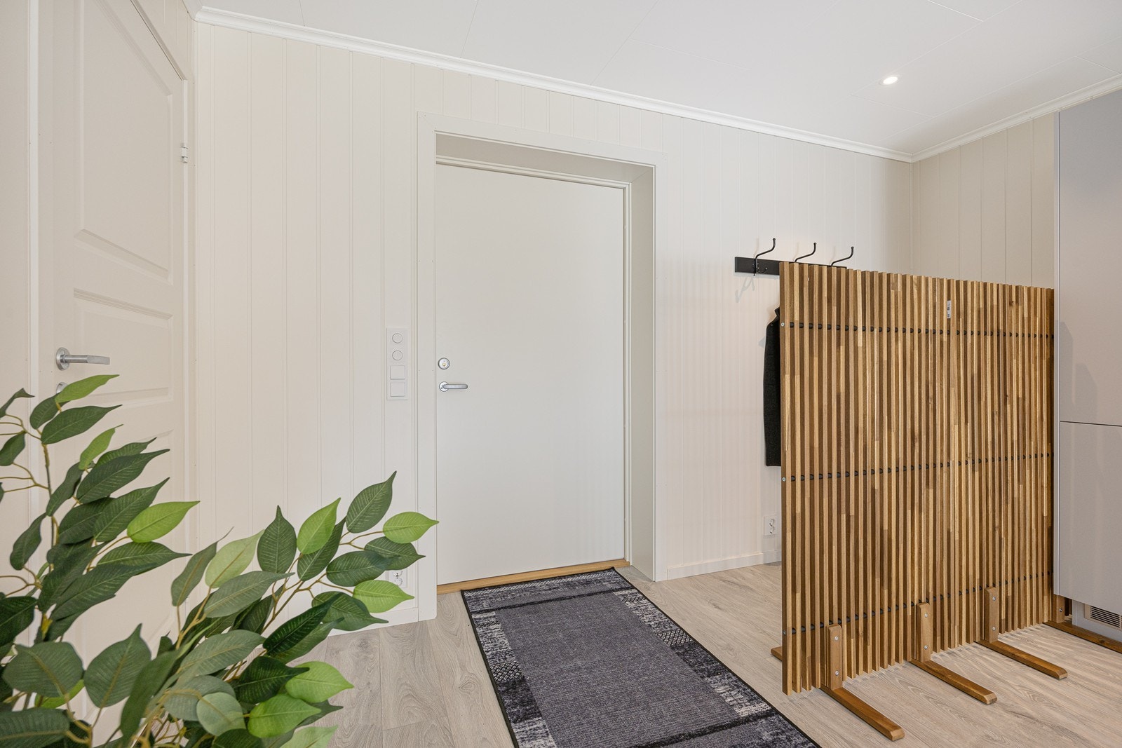 Damlitoppen24_24 Galleribilde