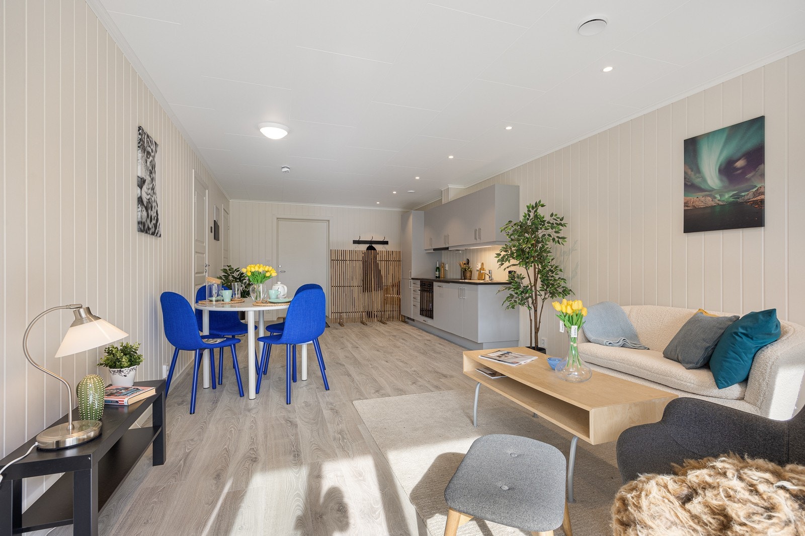 Damlitoppen24_19 Galleribilde