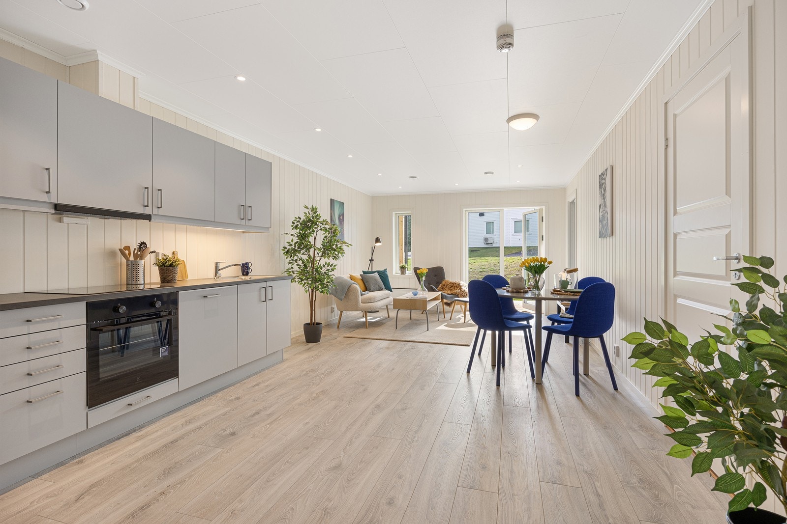 Damlitoppen24_15 Galleribilde