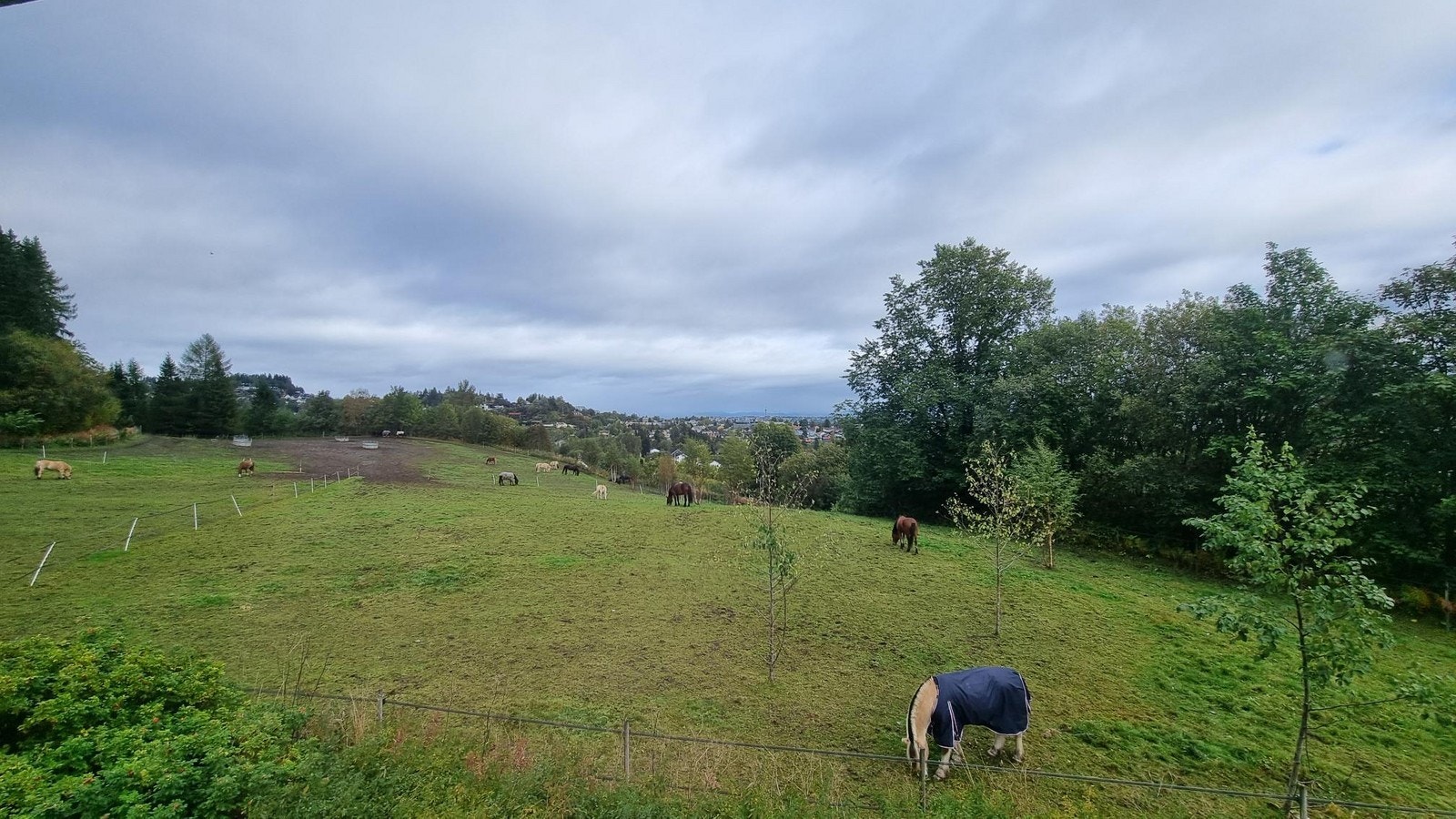 Utsikt fra ett av soverommene i 2. etg Galleribilde