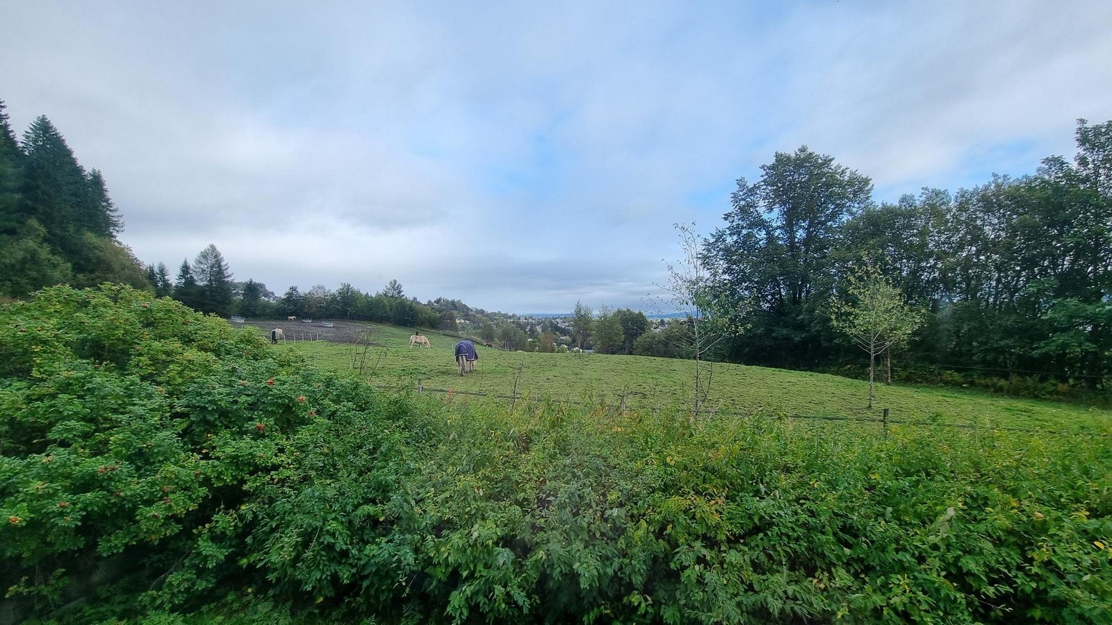 Landlig utsikt fra soveromsvinduet Galleribilde