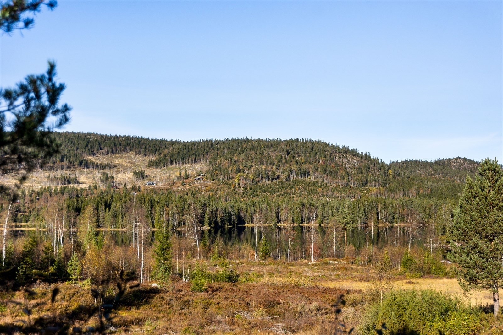 Et hytteområde med ro, privatliv og ekte hytteidyll Galleribilde