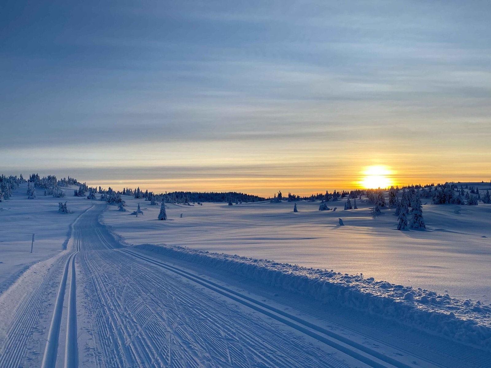 Vinterlyset på Sjusjøen er magisk Galleribilde