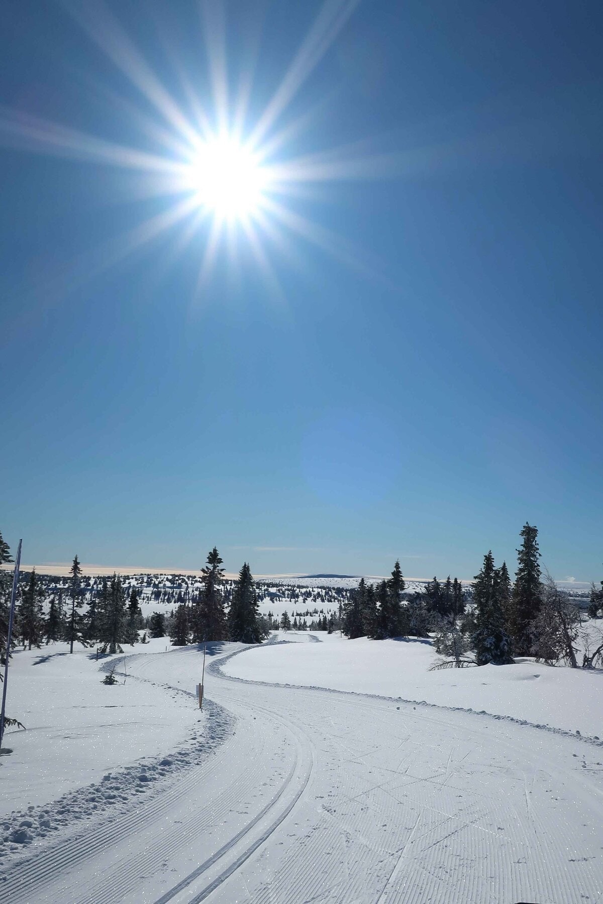 Skiløypene på Sjusjøen er top notch! Må oppleves! Galleribilde