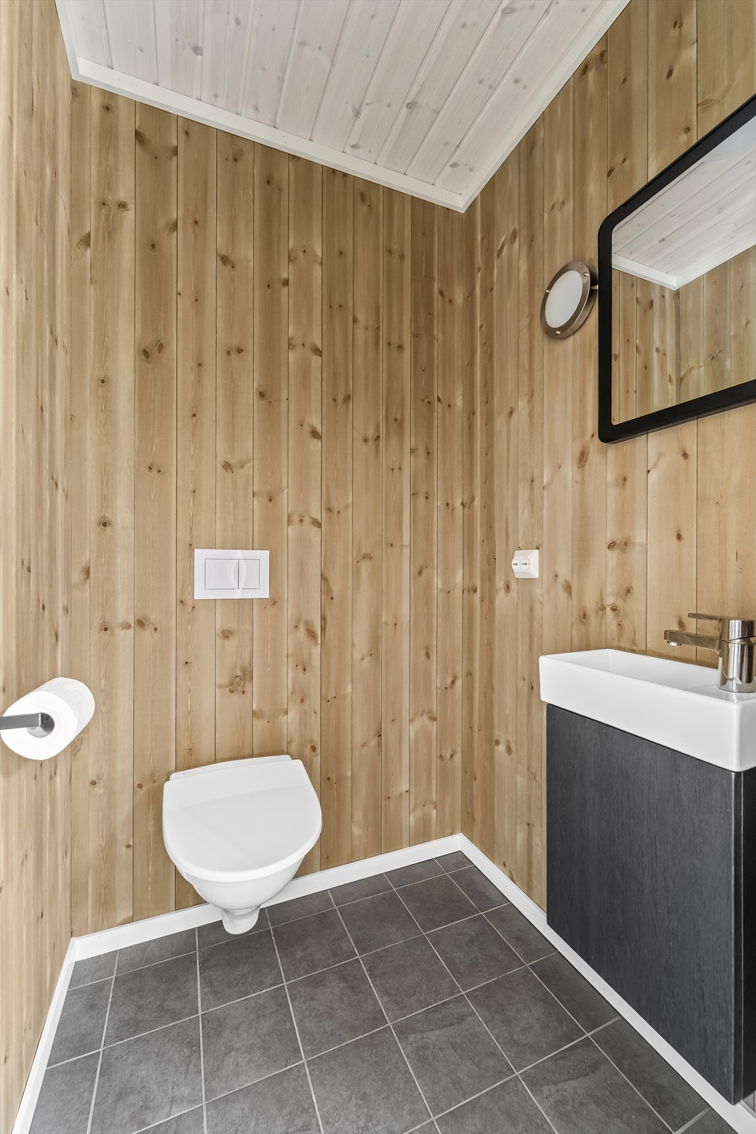 Toalett Galleribilde