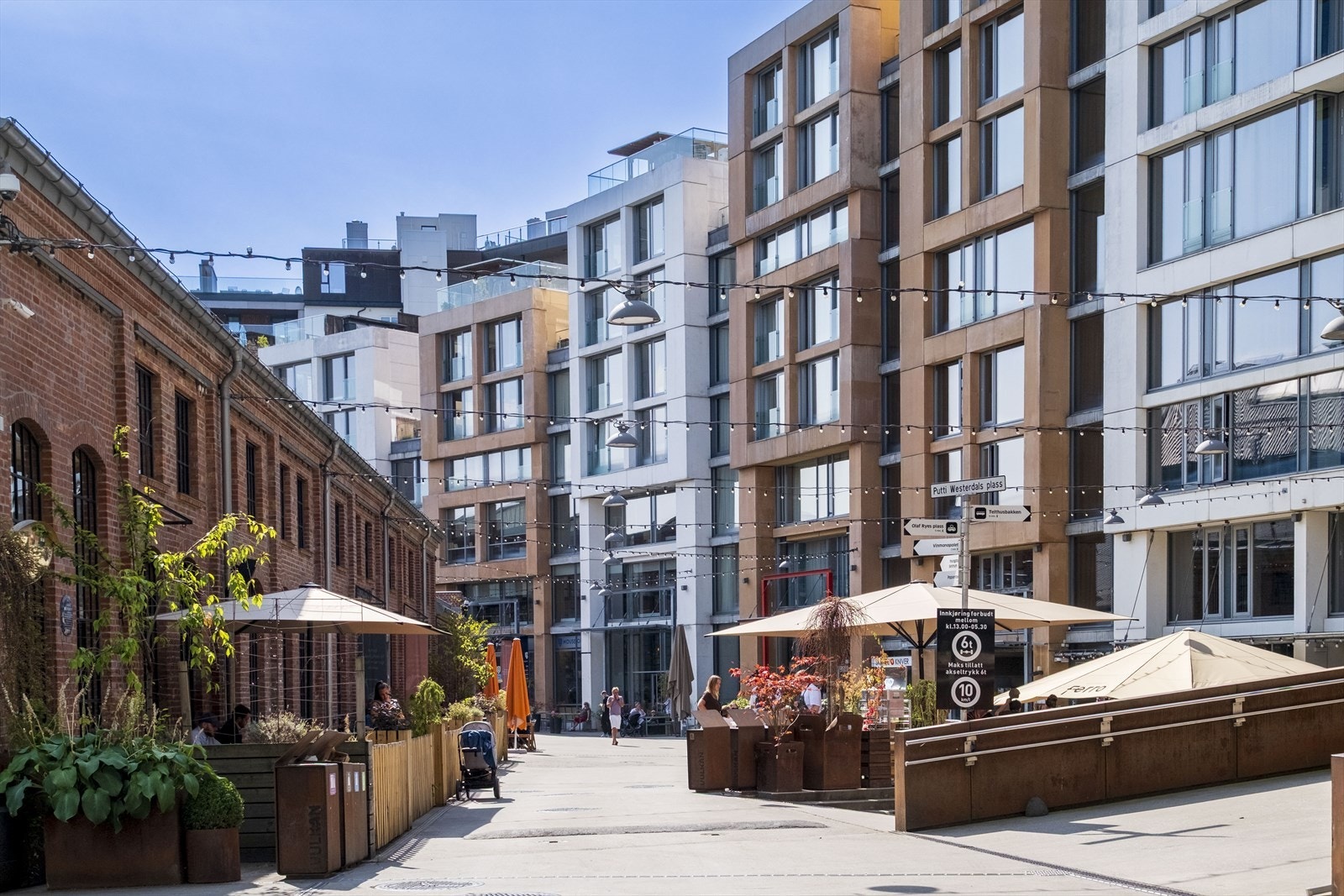 Nærområdet. Galleribilde