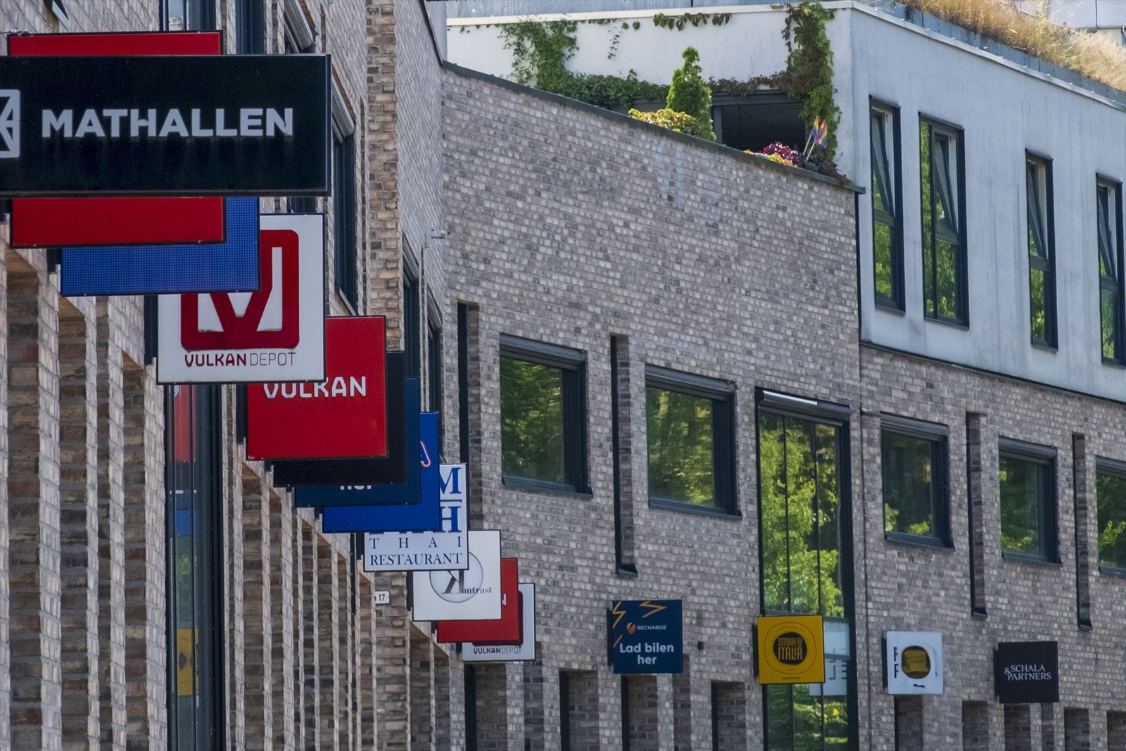 Nærområdet. Galleribilde