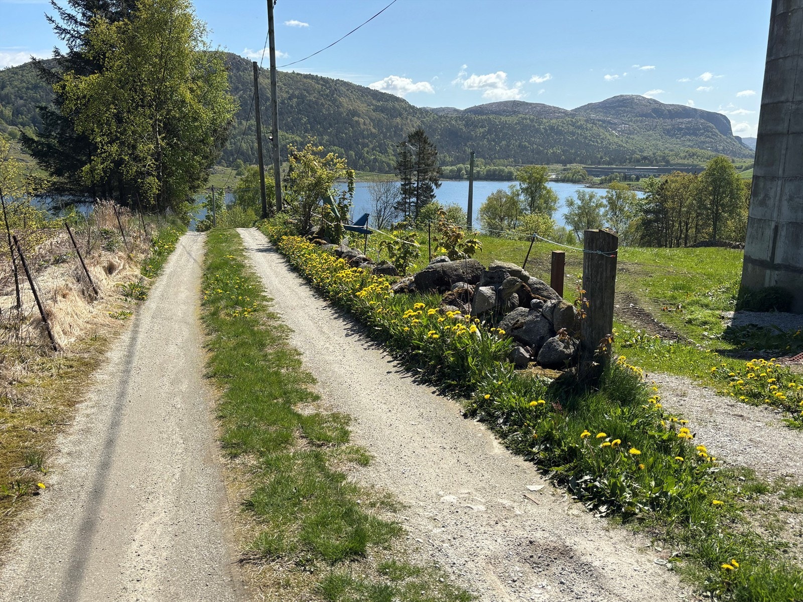 Adkomstveien Galleribilde