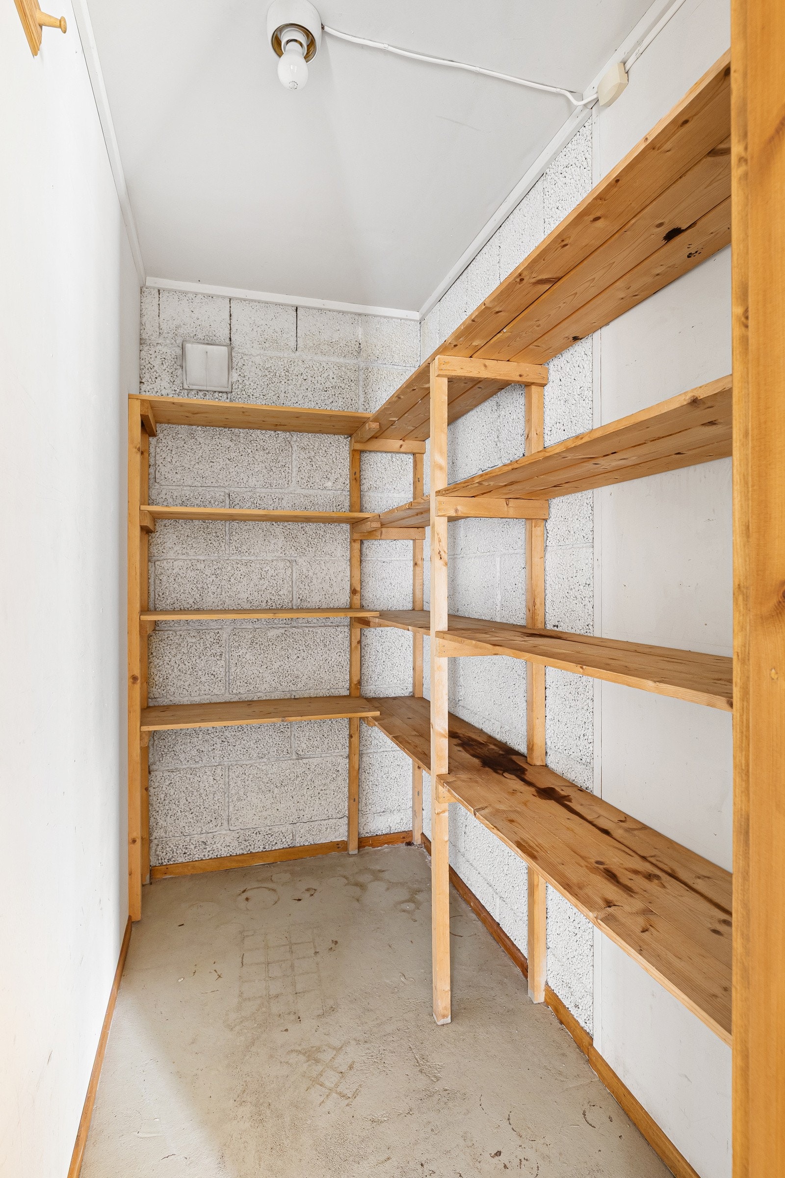 Romslig bod. Galleribilde