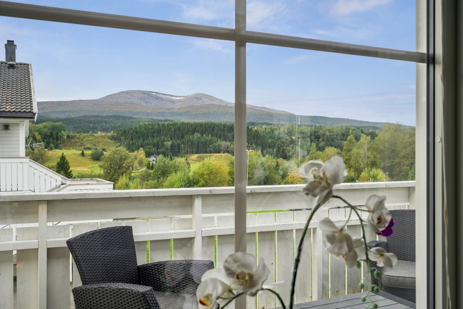 Stue og terrasse Galleribilde