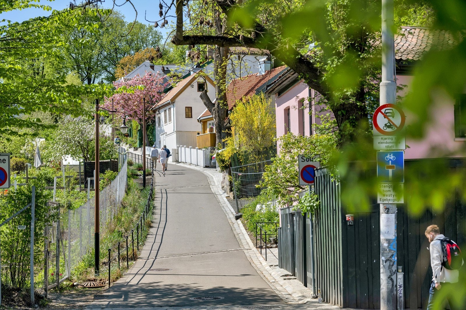 Nærområde, Telthusbakken Galleribilde