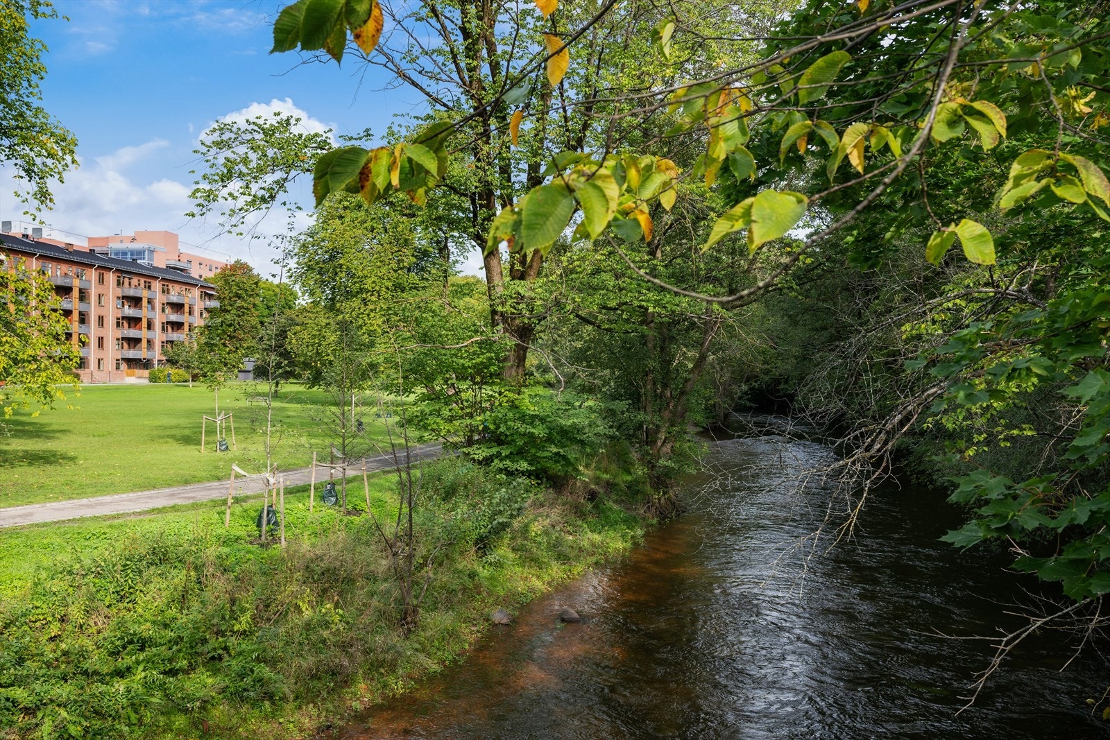 Like nedenfor går den idylliske turstien langs elvebredden - et populært rekreasjonsområde som strekker seg fra sentrum i sør til Maridalen og Nordmarka i nord Galleribilde