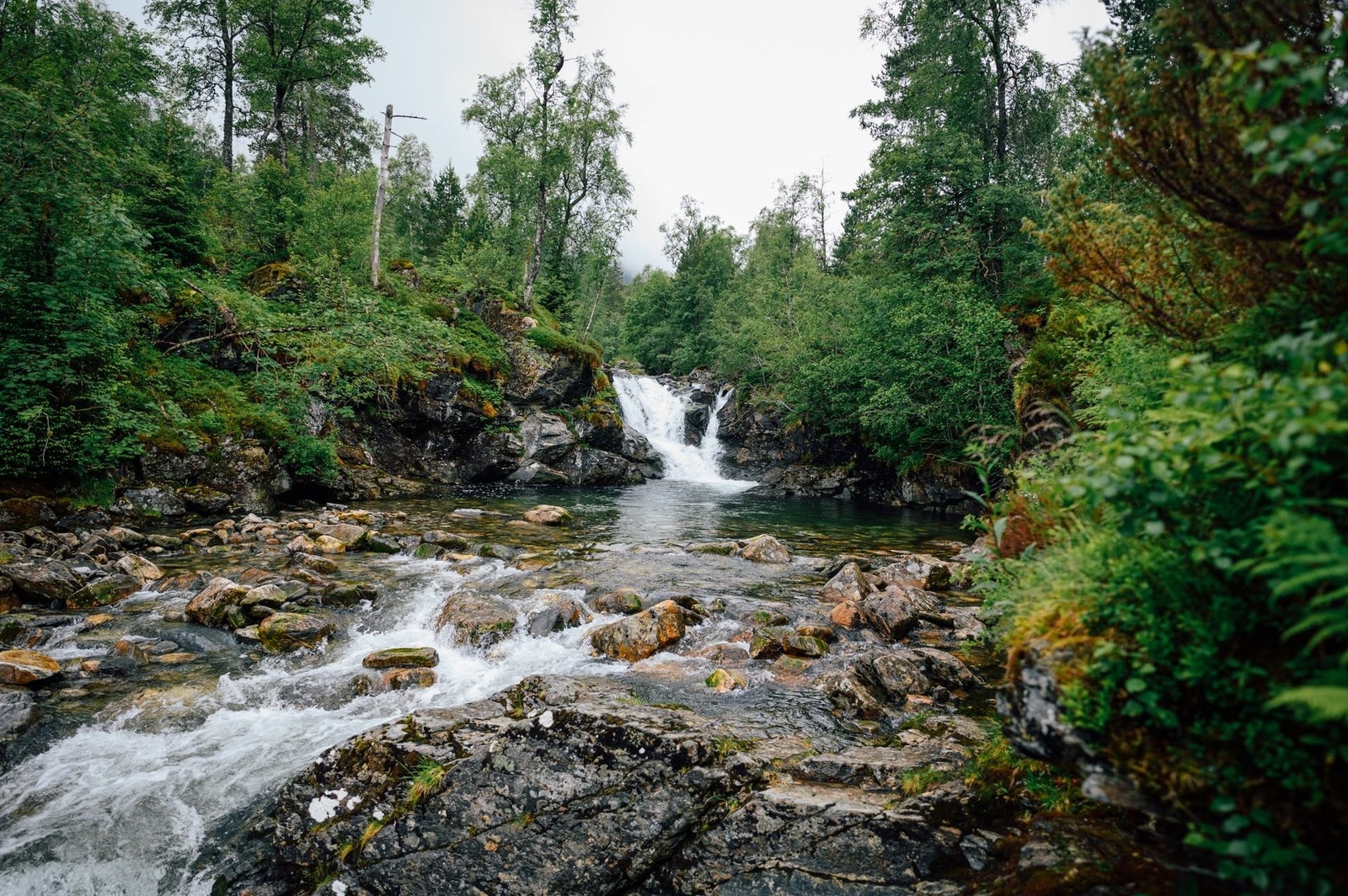 Badekulpen Galleribilde