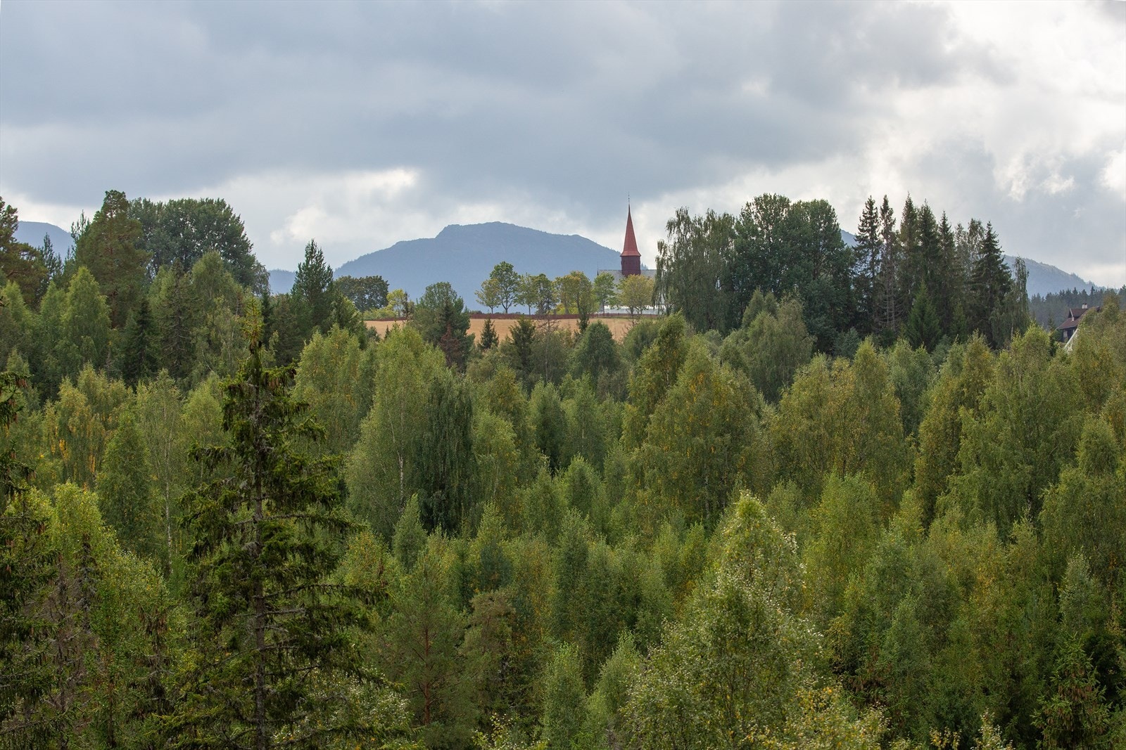 Nydelig utsikt retning Skrimfjella og Hedenstad Kirke. Galleribilde