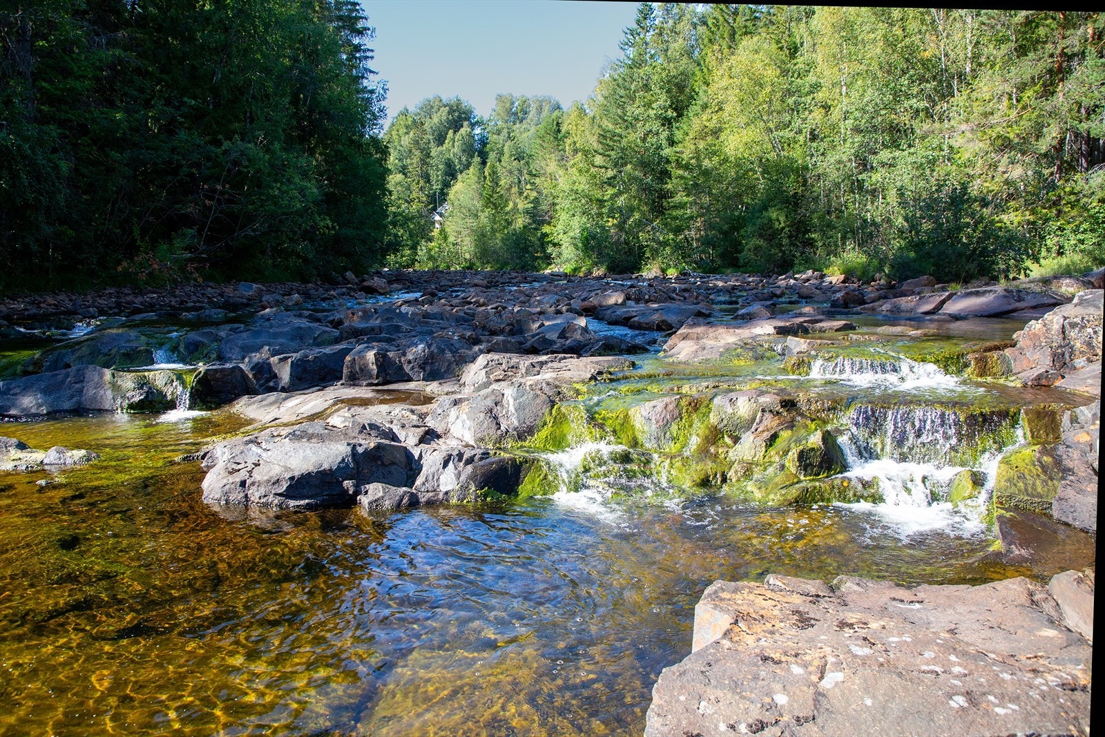 Nyt solfylte dager langs Kobberbergselva. Galleribilde