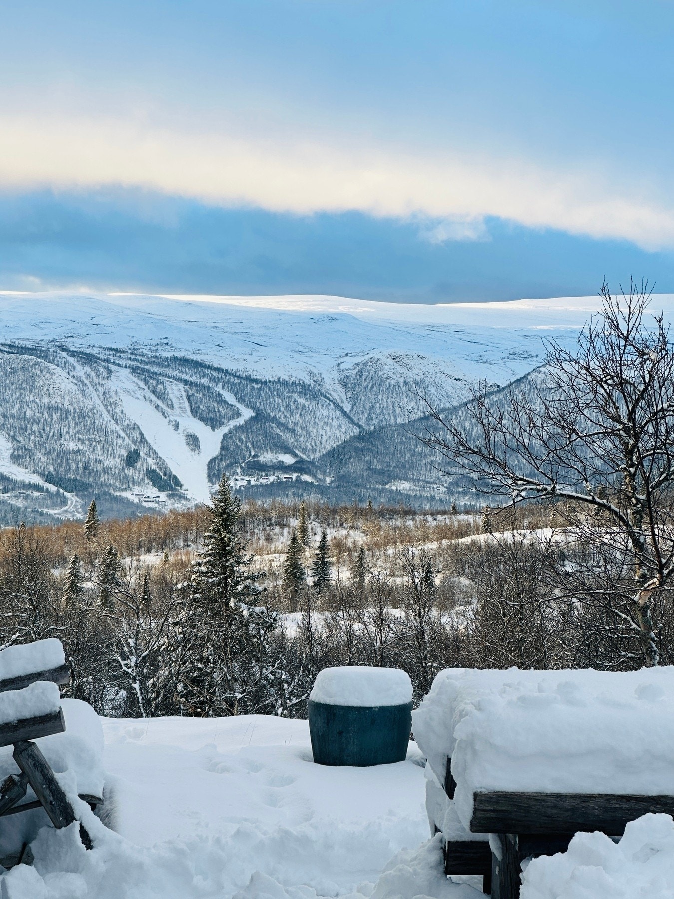 Bilde fra selgers arkiv Galleribilde
