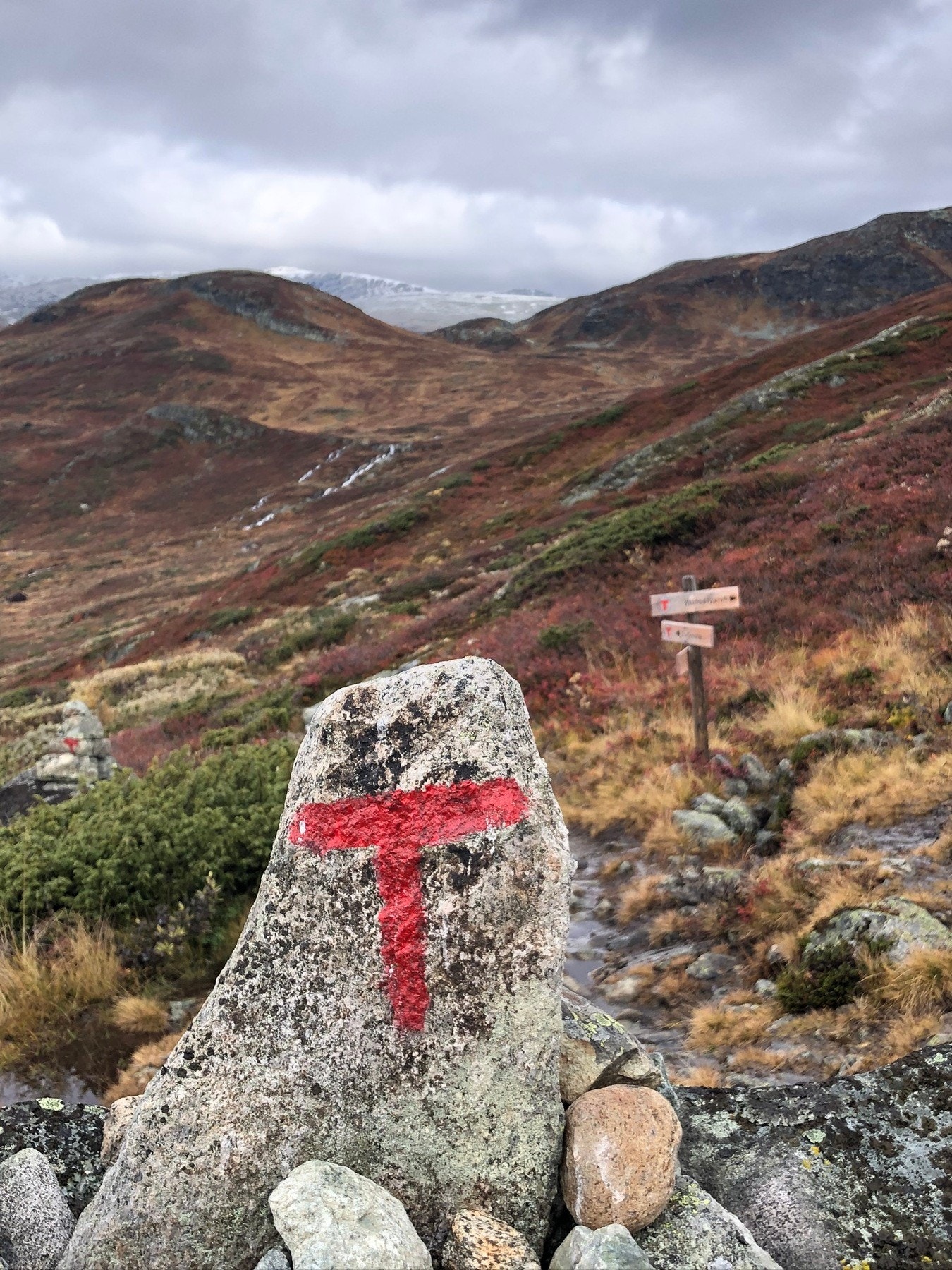 Fine turmuligheter - bilde fra selgers arkiv Galleribilde