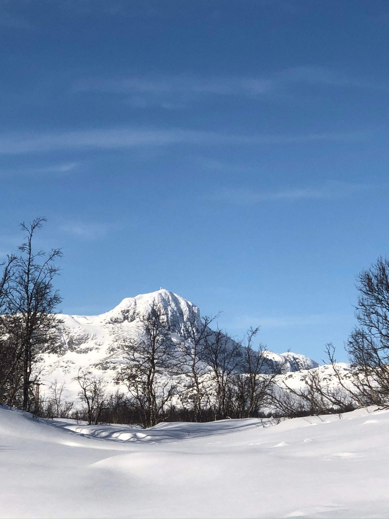 Bilde fra selgers arkiv Galleribilde