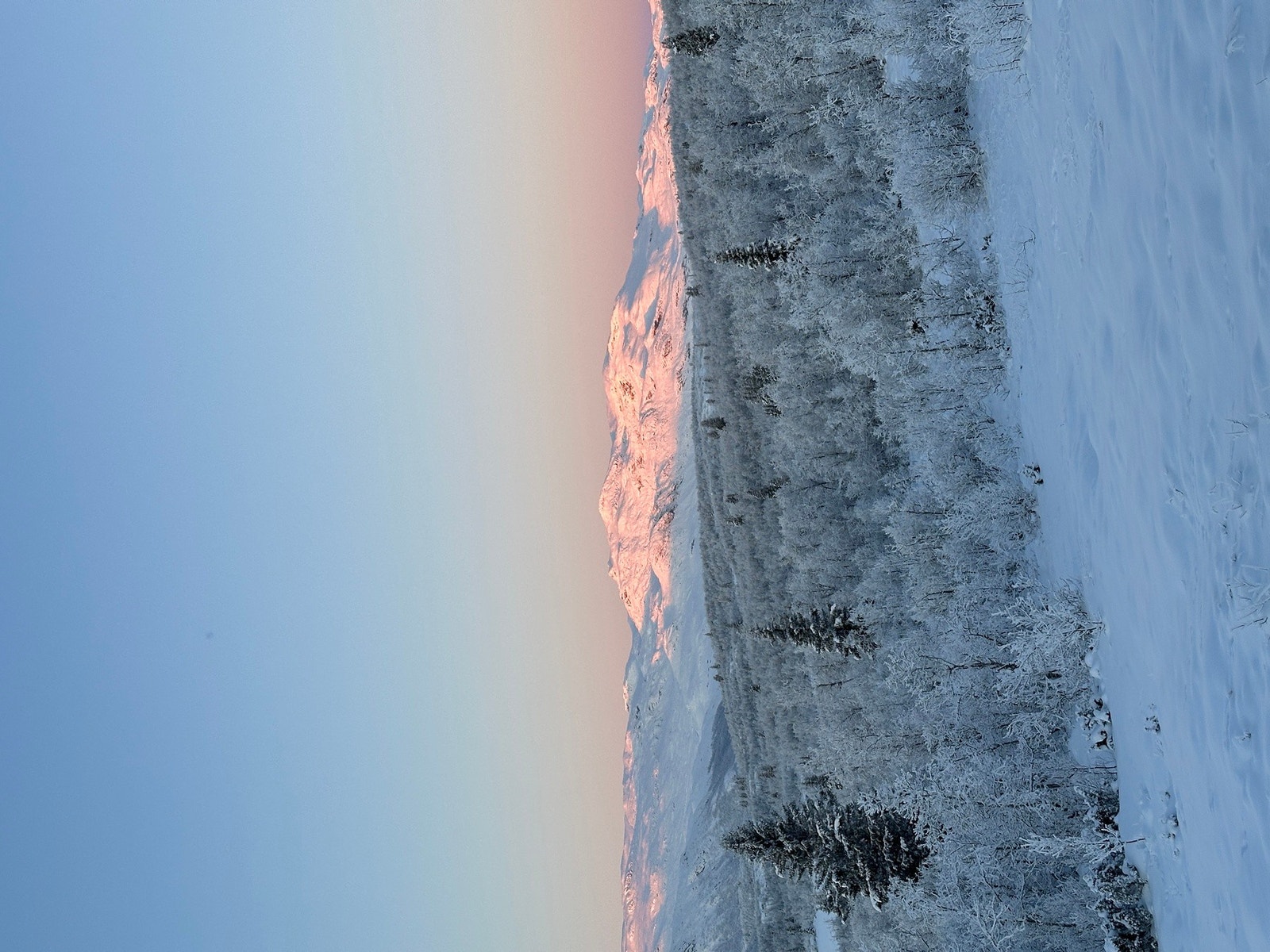 Vinteren er også vakker Galleribilde