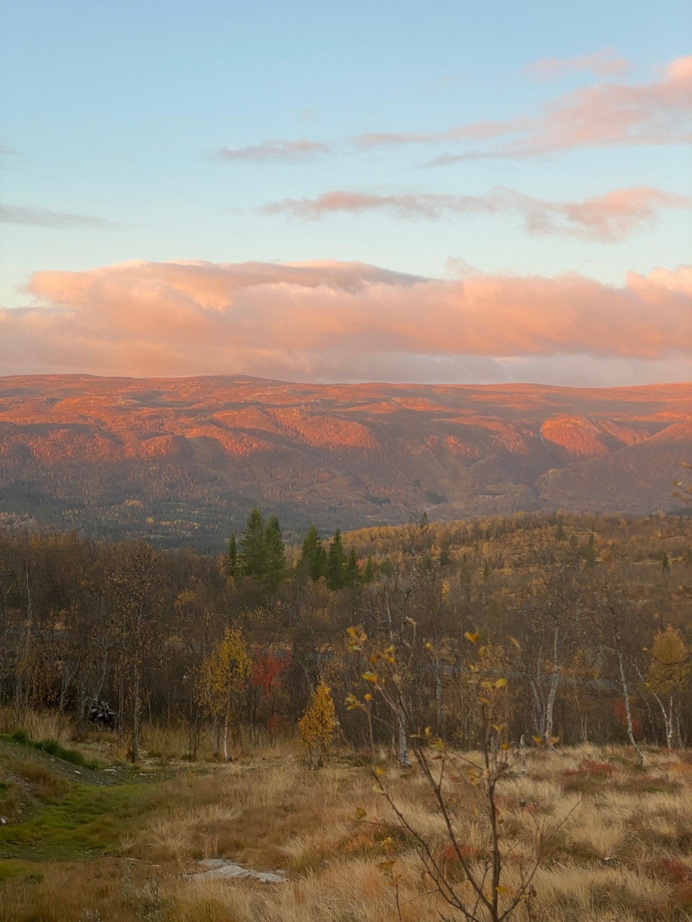 Bilde fra selgers arkiv Galleribilde