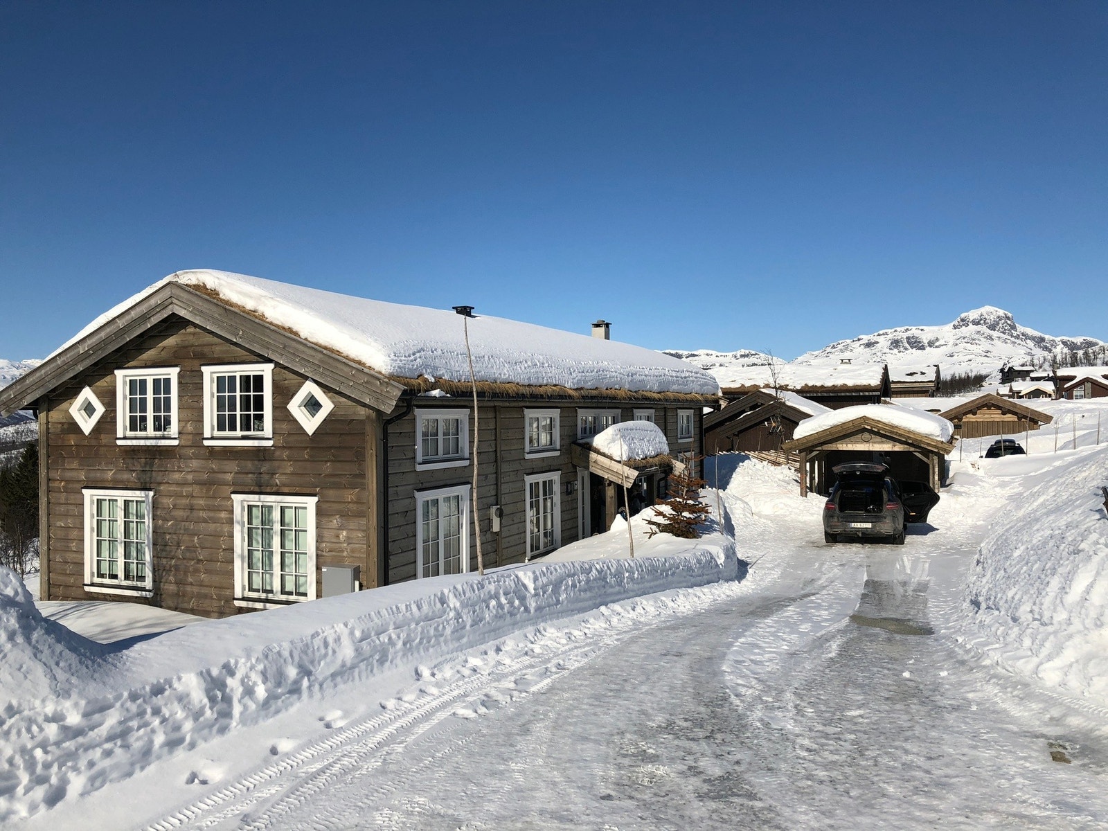 Bilde fra selgers arkiv Galleribilde