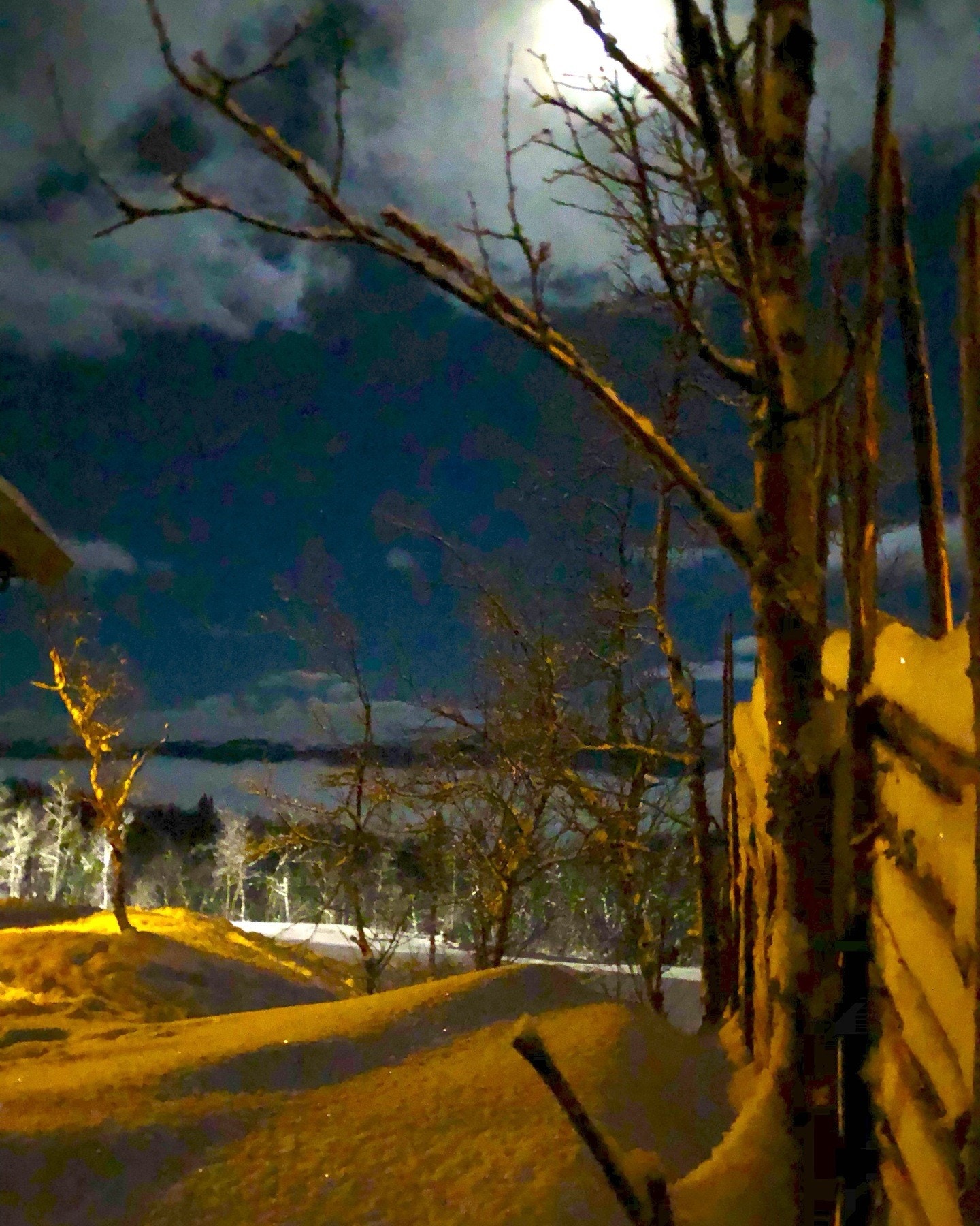 Vinteridyll fra selgers arkiv Galleribilde