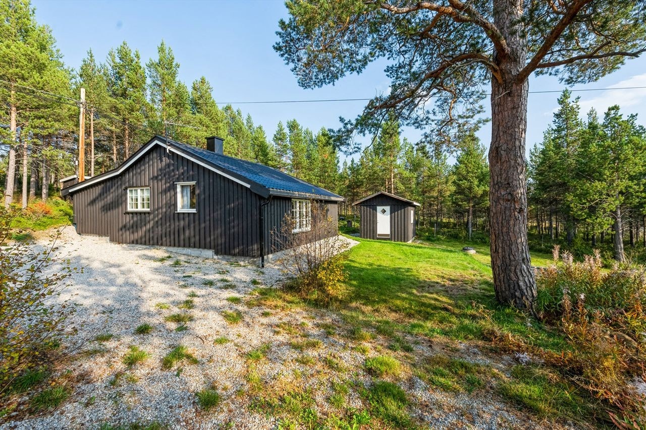 Velkommen til Folldalsvegen 2056! Galleribilde