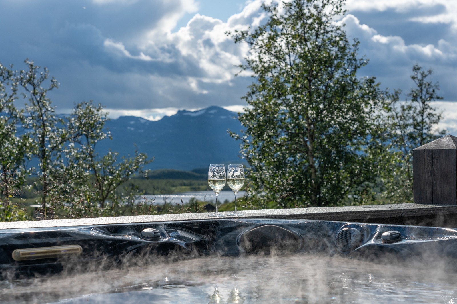Eiendommen ligger sydvestvendt med sol fra morgen til kveld, og spektakulær utsikt mot fjellene.