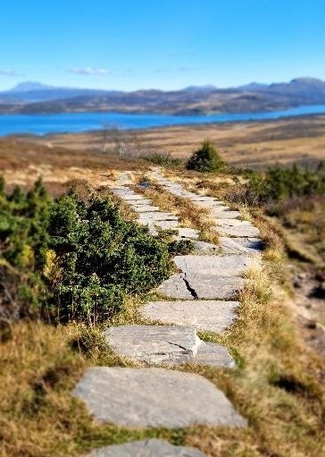 (Privat foto) Galleribilde