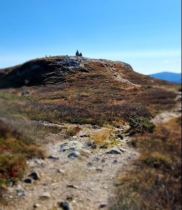 (Privat foto) Galleribilde