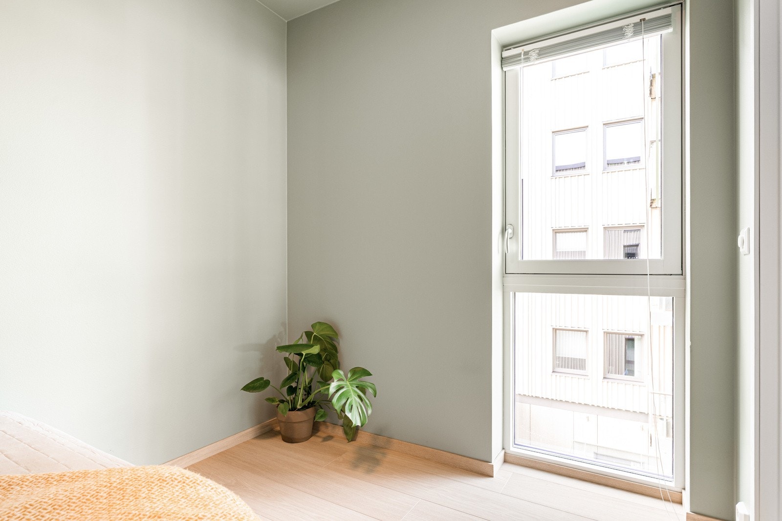 Soverommene oppleves som innbydende med slette overflater, behagelige fargevalg på vegger og store vindu. Galleribilde