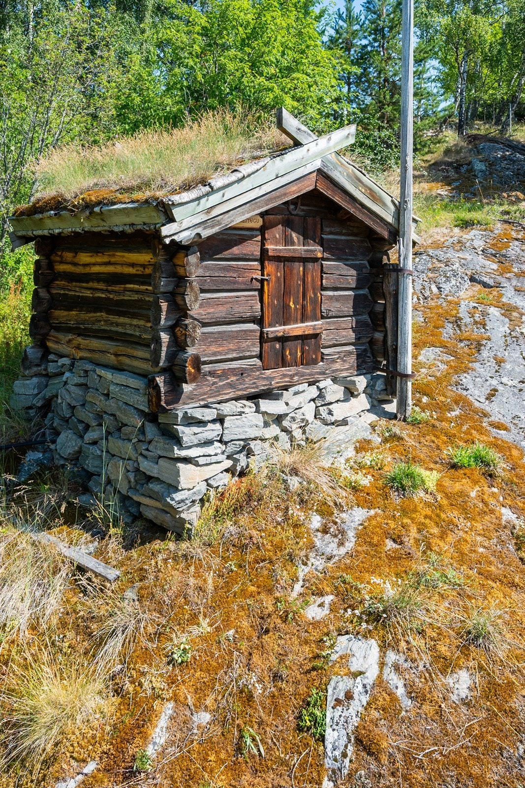 "Grisestugu" - et enkelt, lite tømmerhus med torvtak. Galleribilde