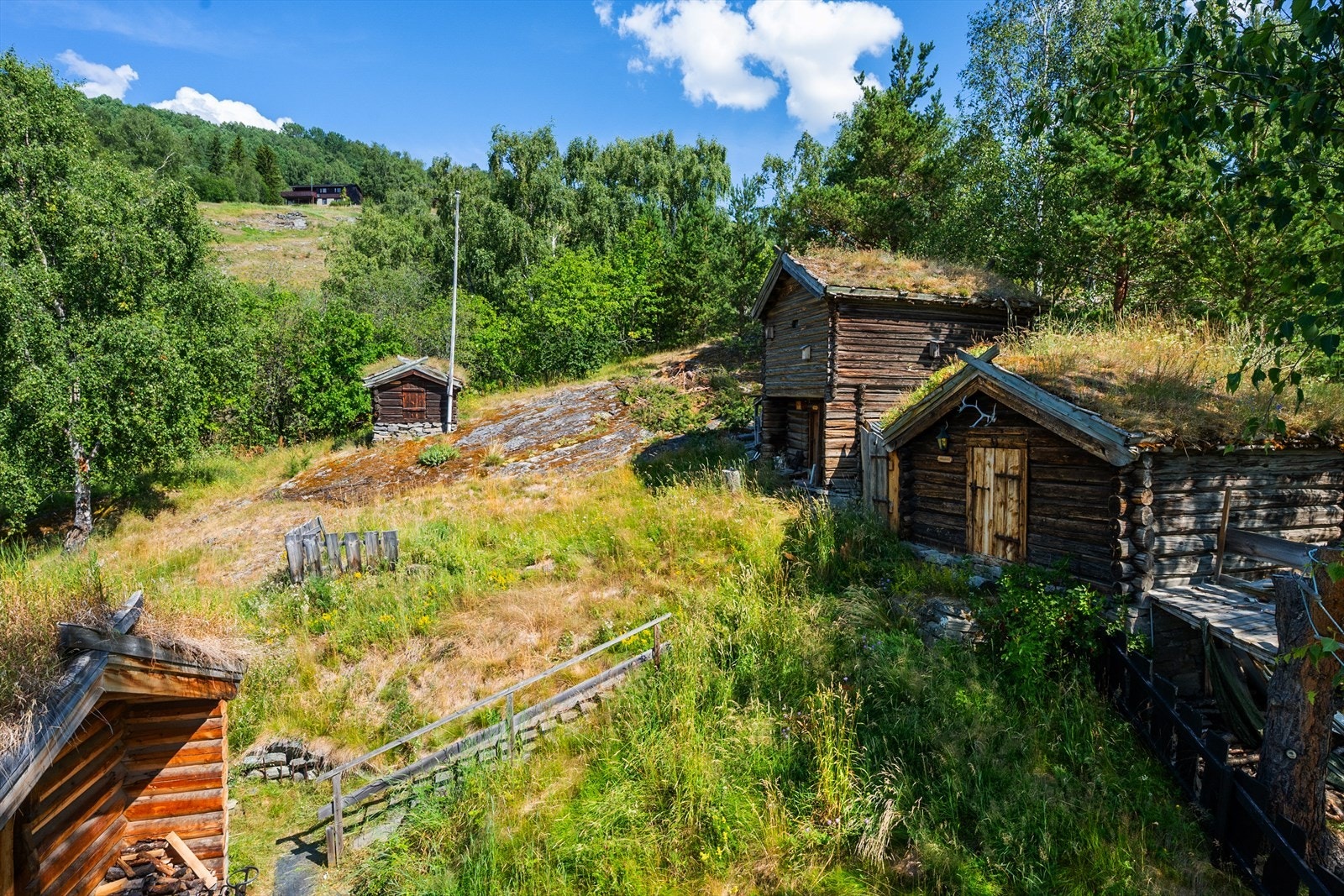 Naturtomt med fin blomstereng på sommerstid. Galleribilde
