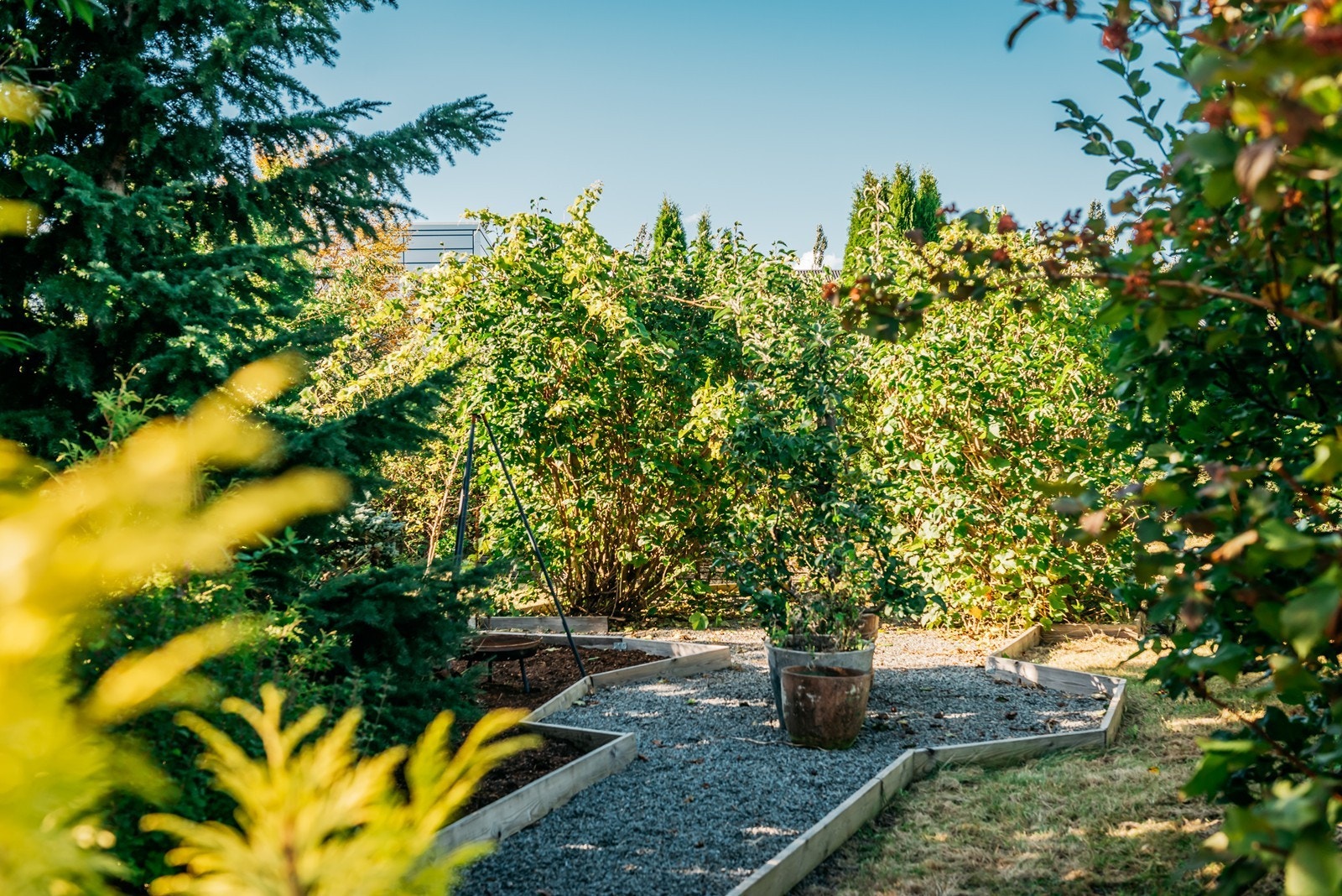 Hagen på fremsiden er en flott og frodig hage med masse forskjellige planter, trær og busker. Dette er virkelig en hage som er laget av noen som vet hva de gjør. Gjennom hagen går det også en sti. Galleribilde