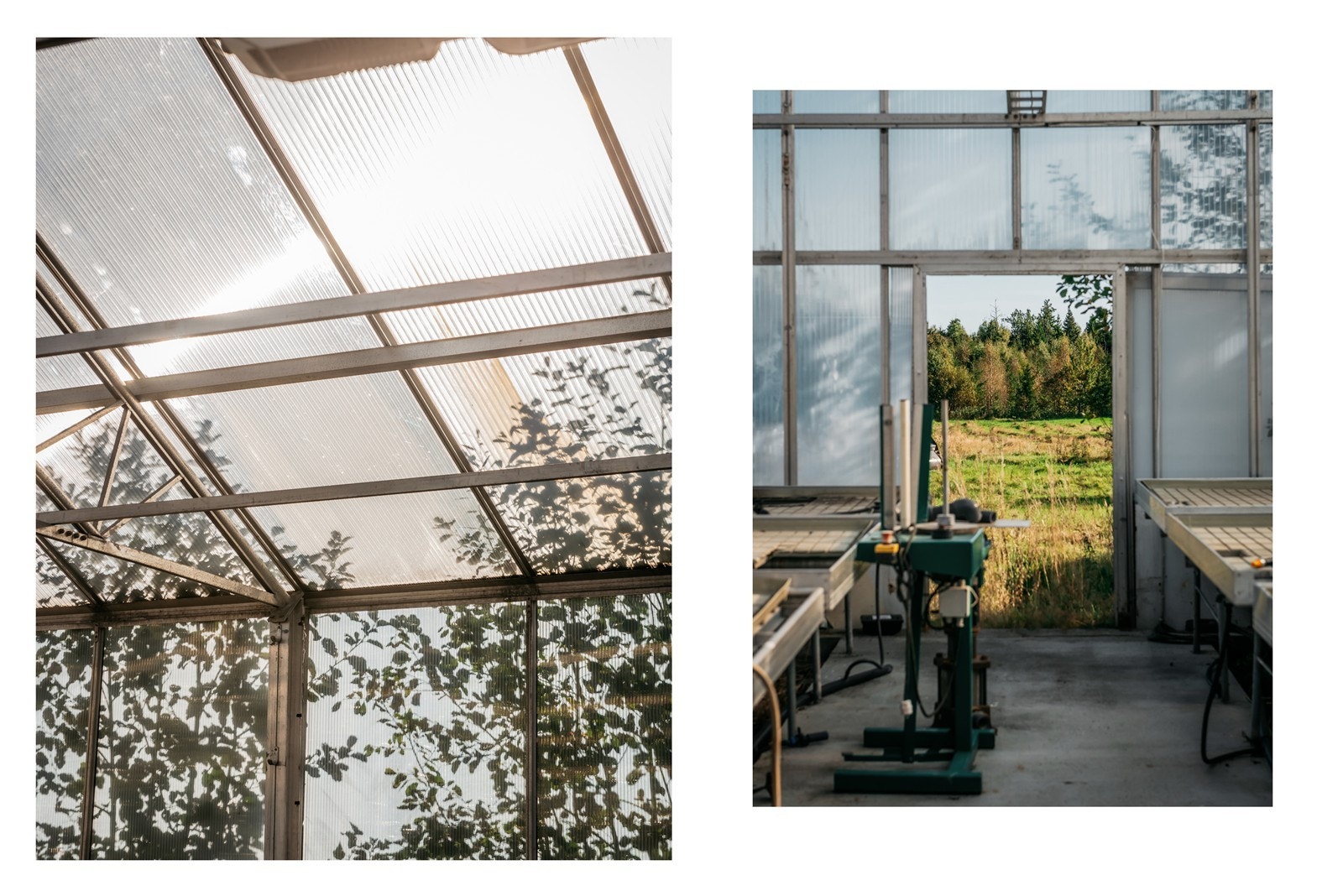 Drivhuset Galleribilde