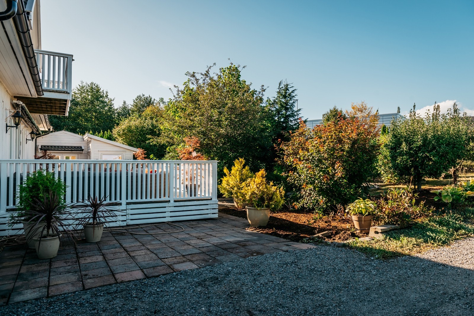 Her kan dine grønne fingre settes på prøve Galleribilde