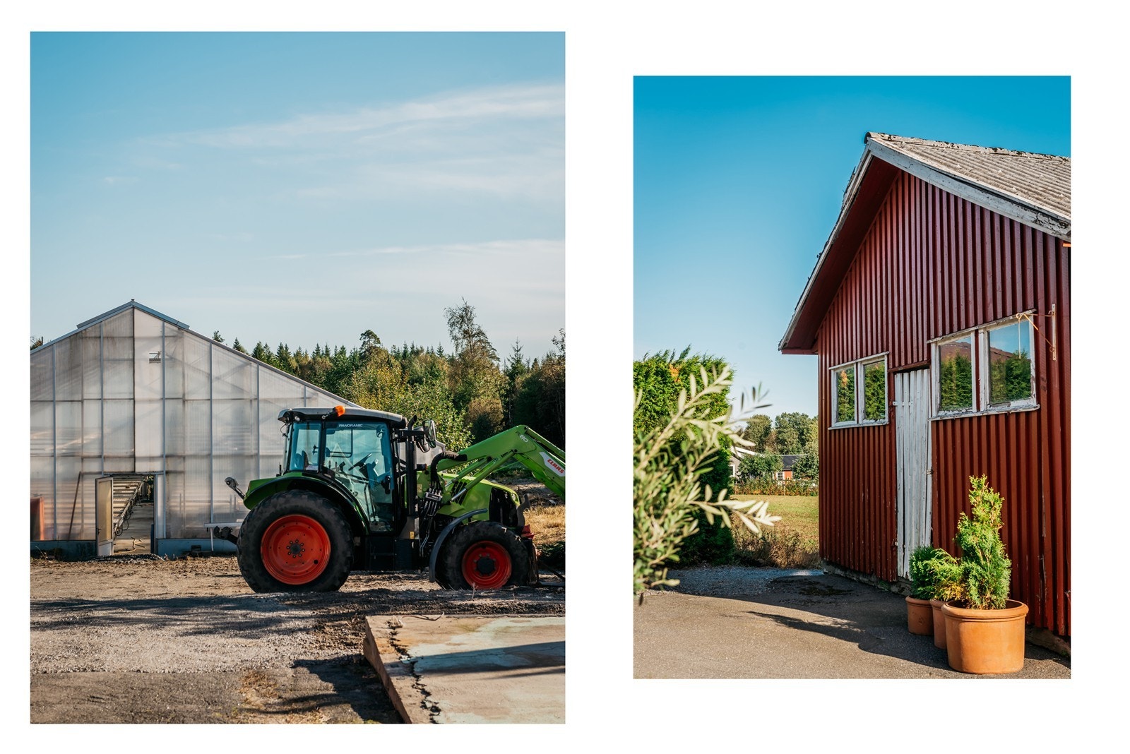 Stort drivhus og et eget lite driftshus, så skal det bare stå på fantasien din, når det kommer til hva du ønsker å lage til. Galleribilde