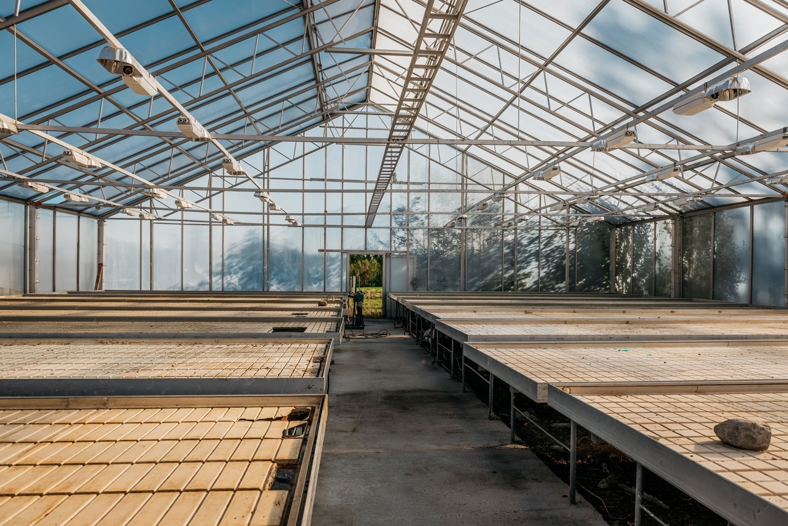 Her er vi hakket forbi én tomat plante og et par orkidéer Galleribilde