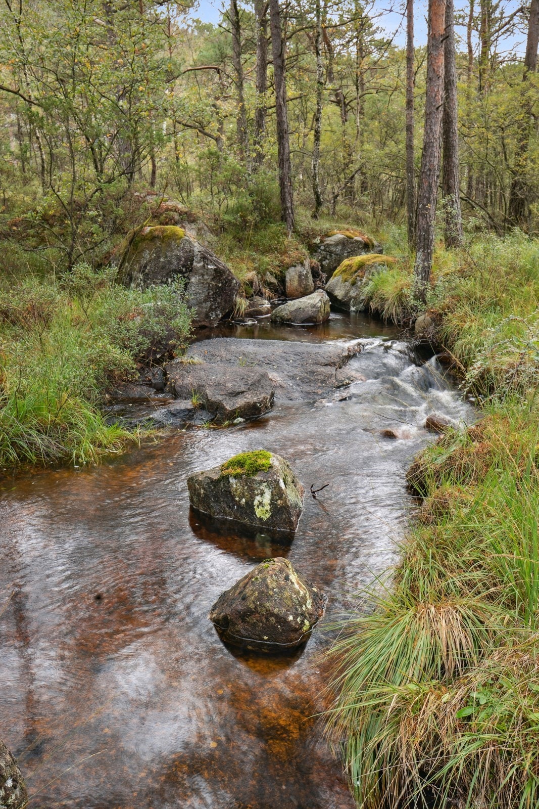 Her kan man ta seg et lite bad når været tillater det! Galleribilde