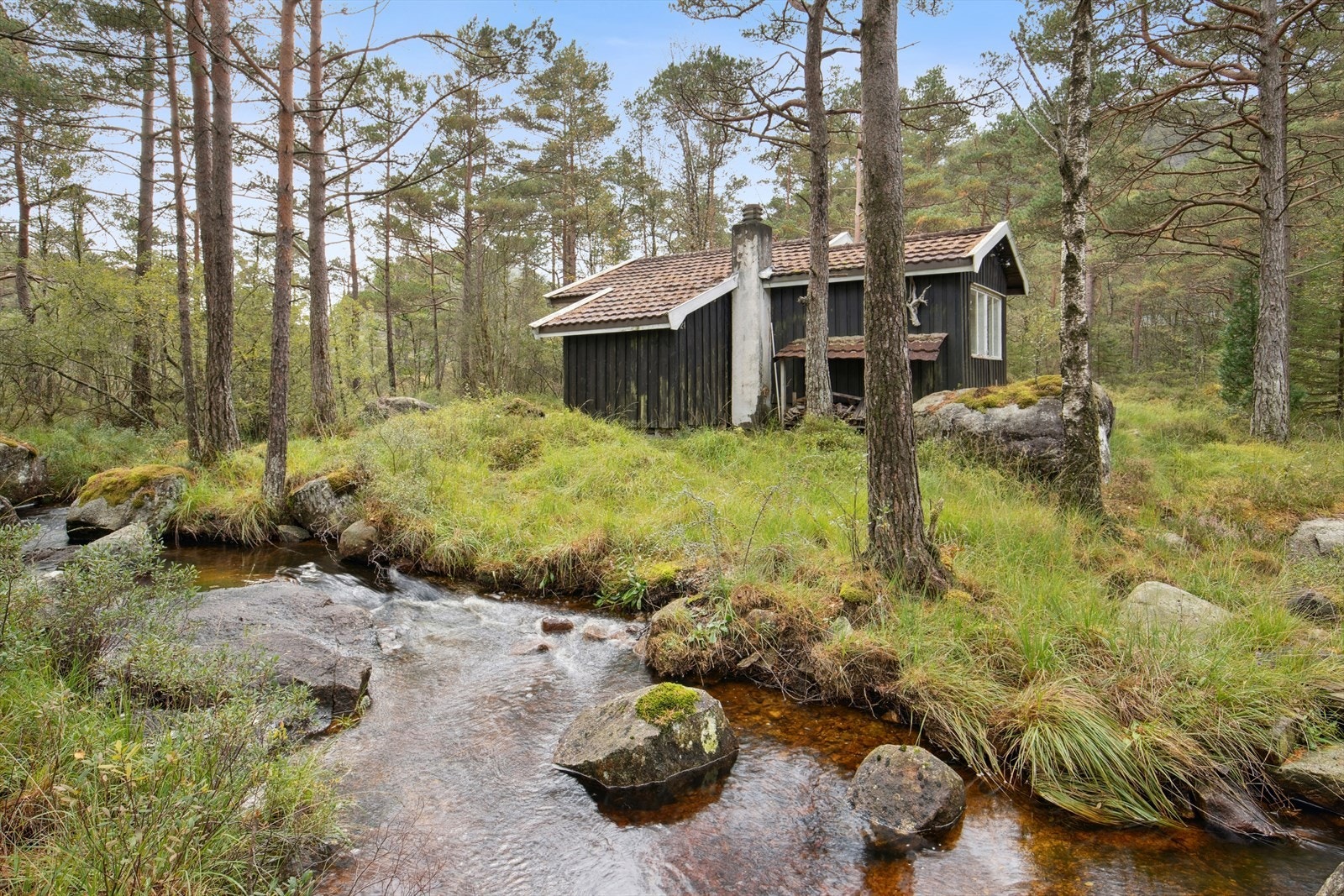 Hytten i seg selv ligger skjermet fra vei og andre hytter, så dette er et fantastisk sted hvor man kan trekke seg tilbake Galleribilde