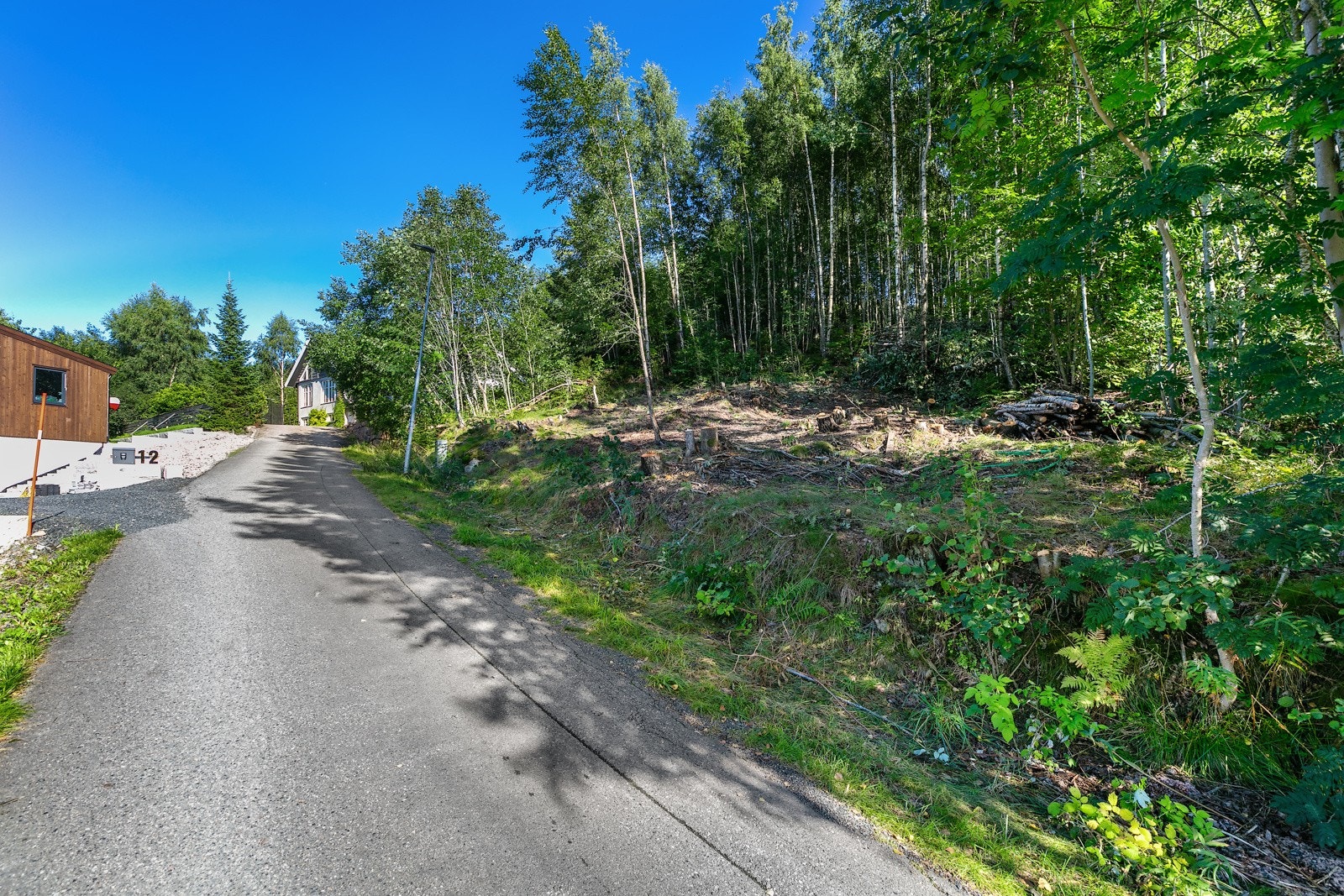 Veien opp til tomten Galleribilde