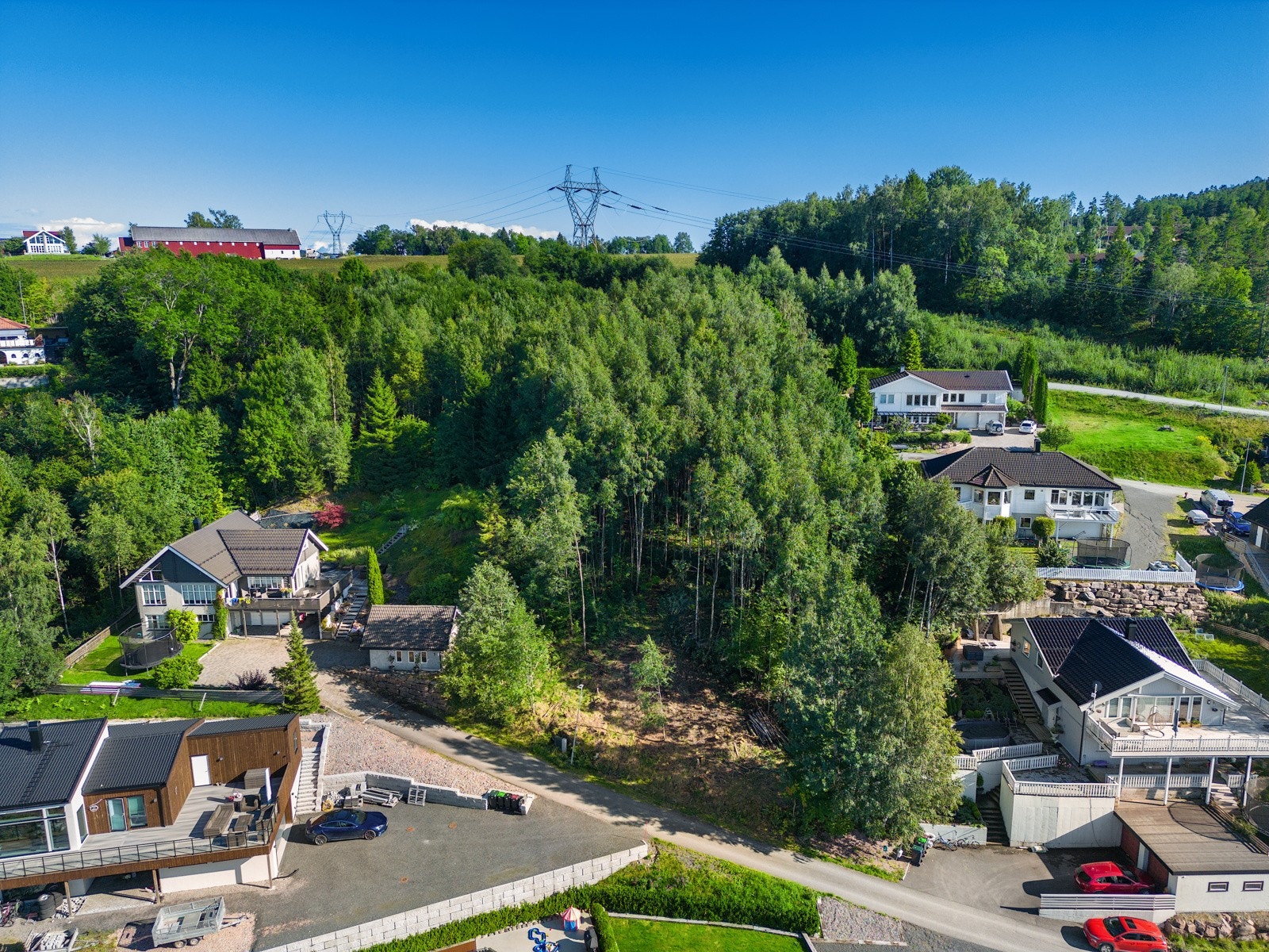 Tomten sett forfra Galleribilde