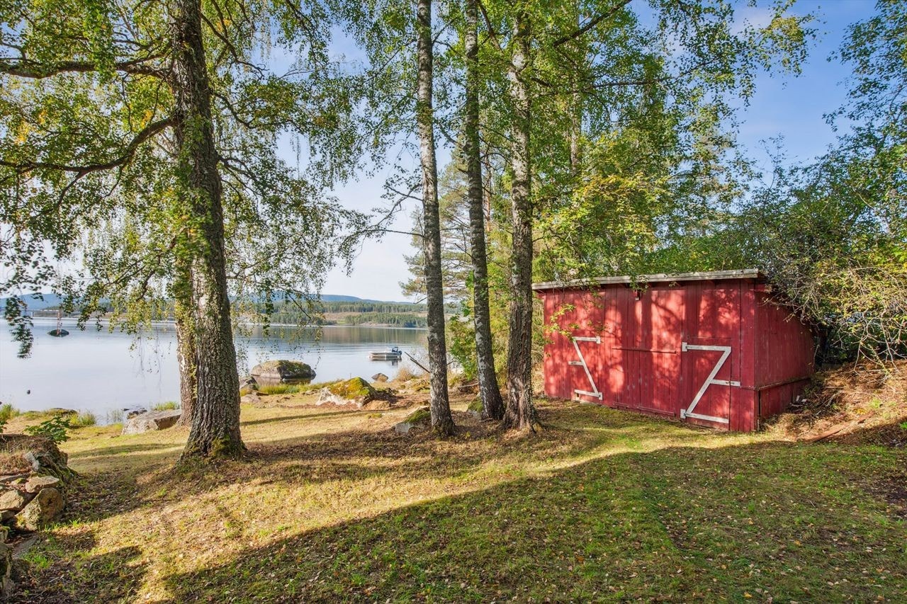 Uthus i dårlig forfatning. Galleribilde