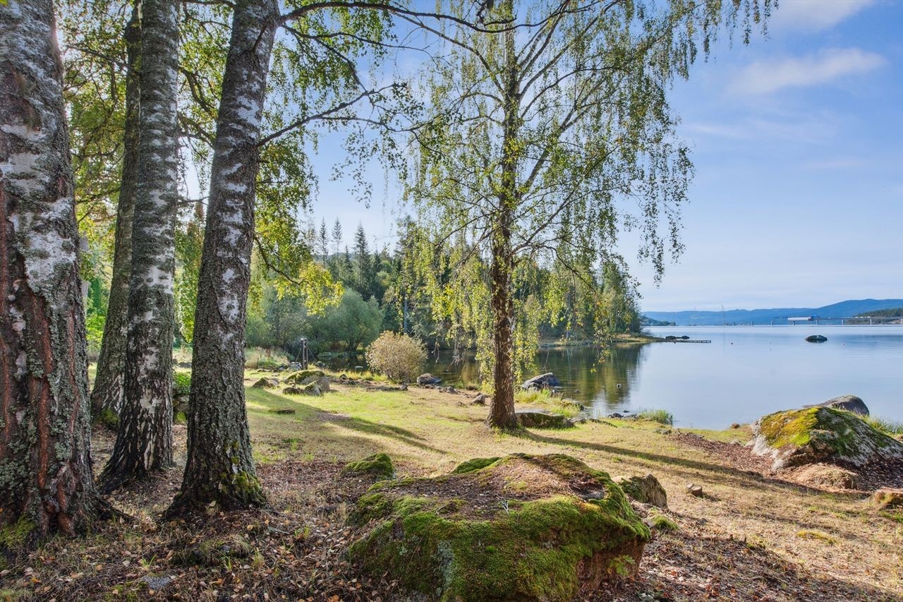 Eiendommen ligger langs Mjøsa. Den aller nederste strandsonen hører ikke til eiendommen. Galleribilde
