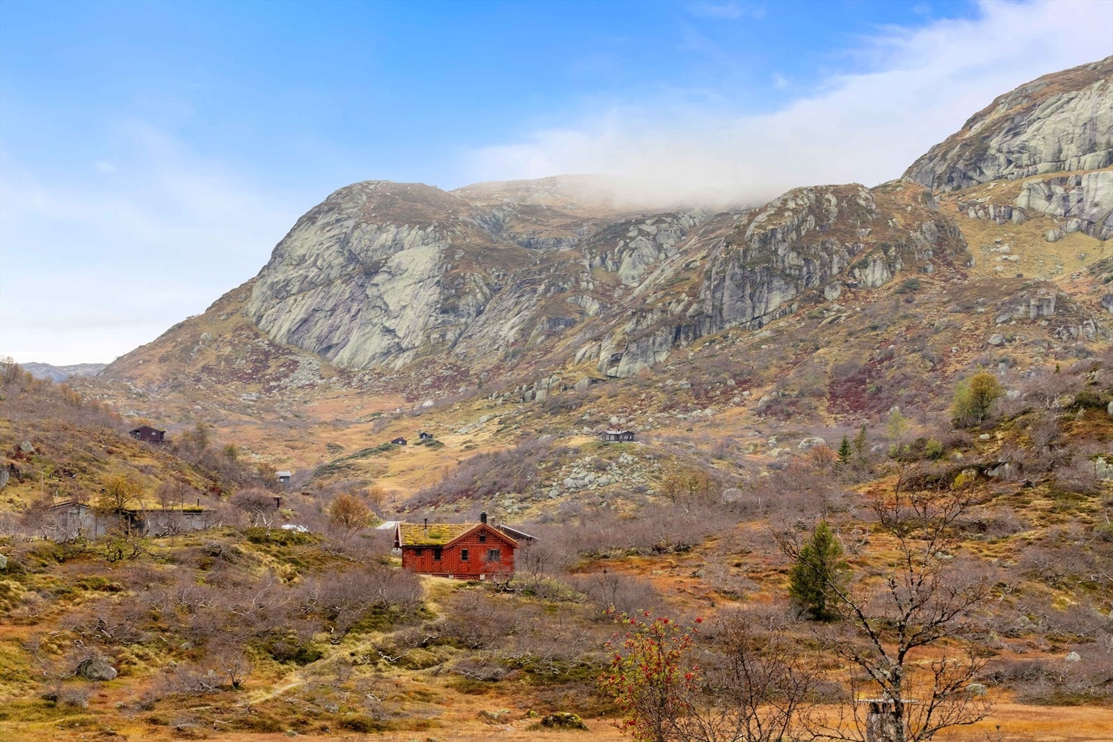 Tomten er en råtomt som må opparbeides. Galleribilde