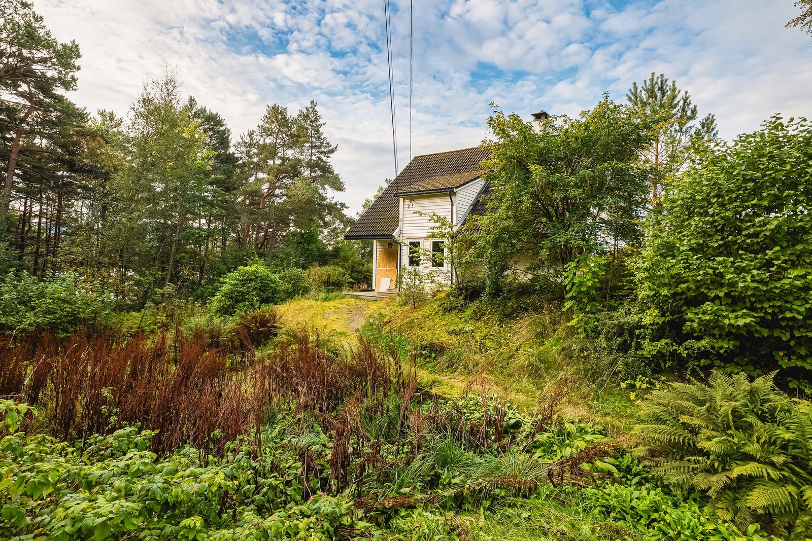 Gangvei opp til boligen. Galleribilde