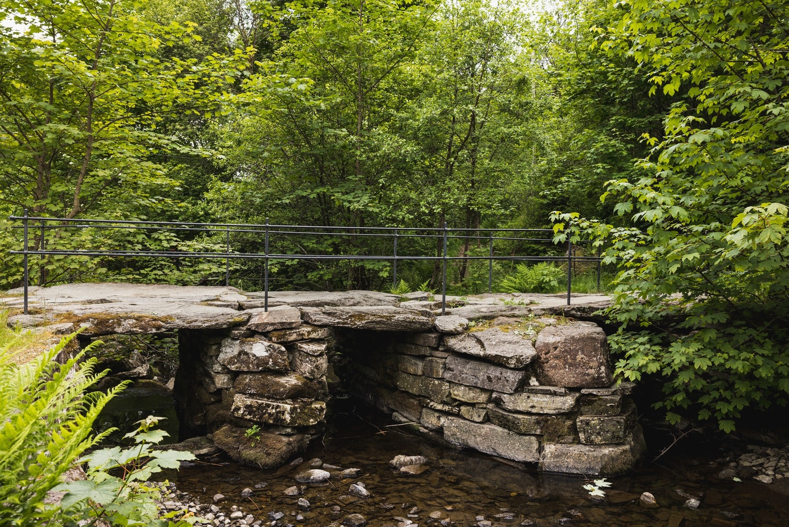 Sti like ved busstopp fører deg gjennom skogen og ned til Bergendal Gård. Galleribilde
